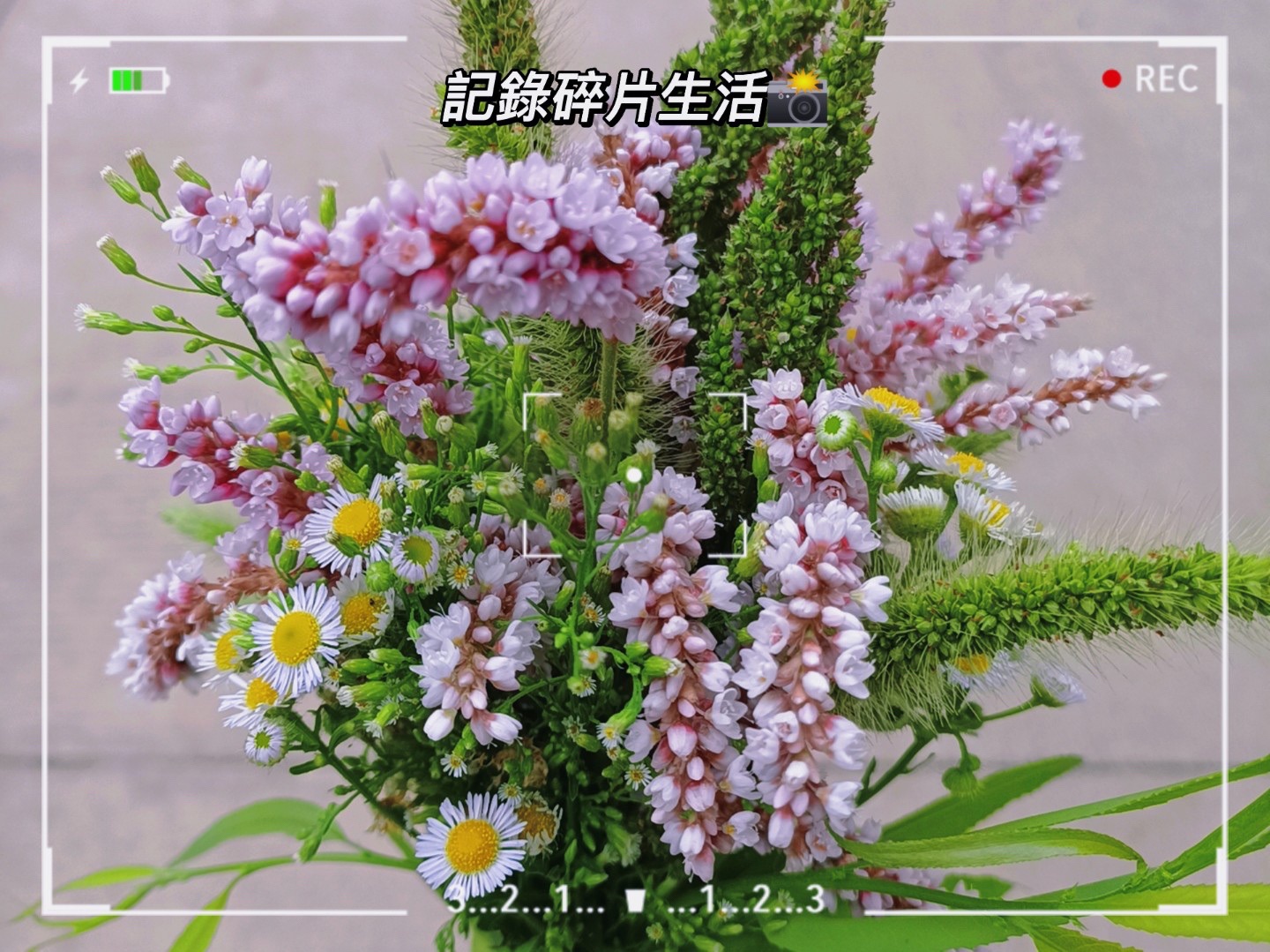 合肥汤池温泉旅游度假区旅行图片 3