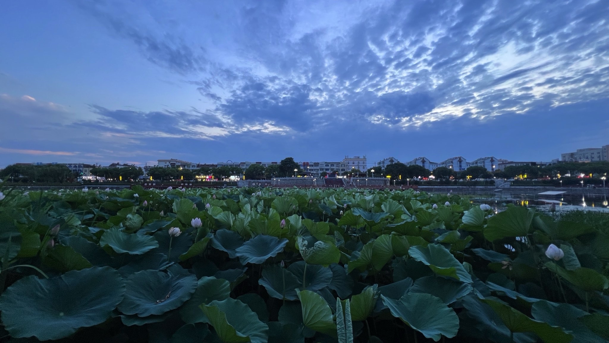桃花坞水上公园