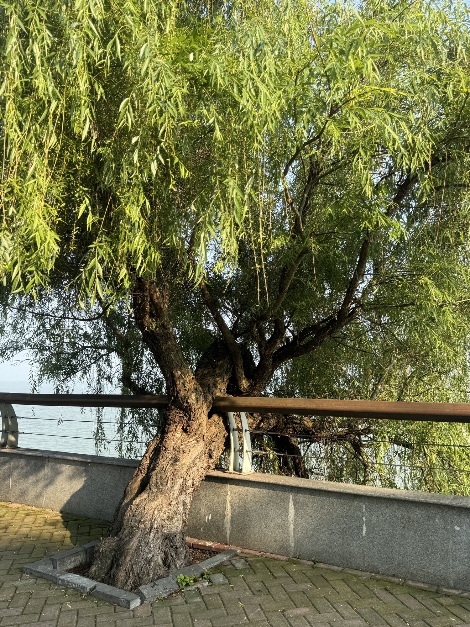 巢湖国家重点风景名胜区旅行图片 1