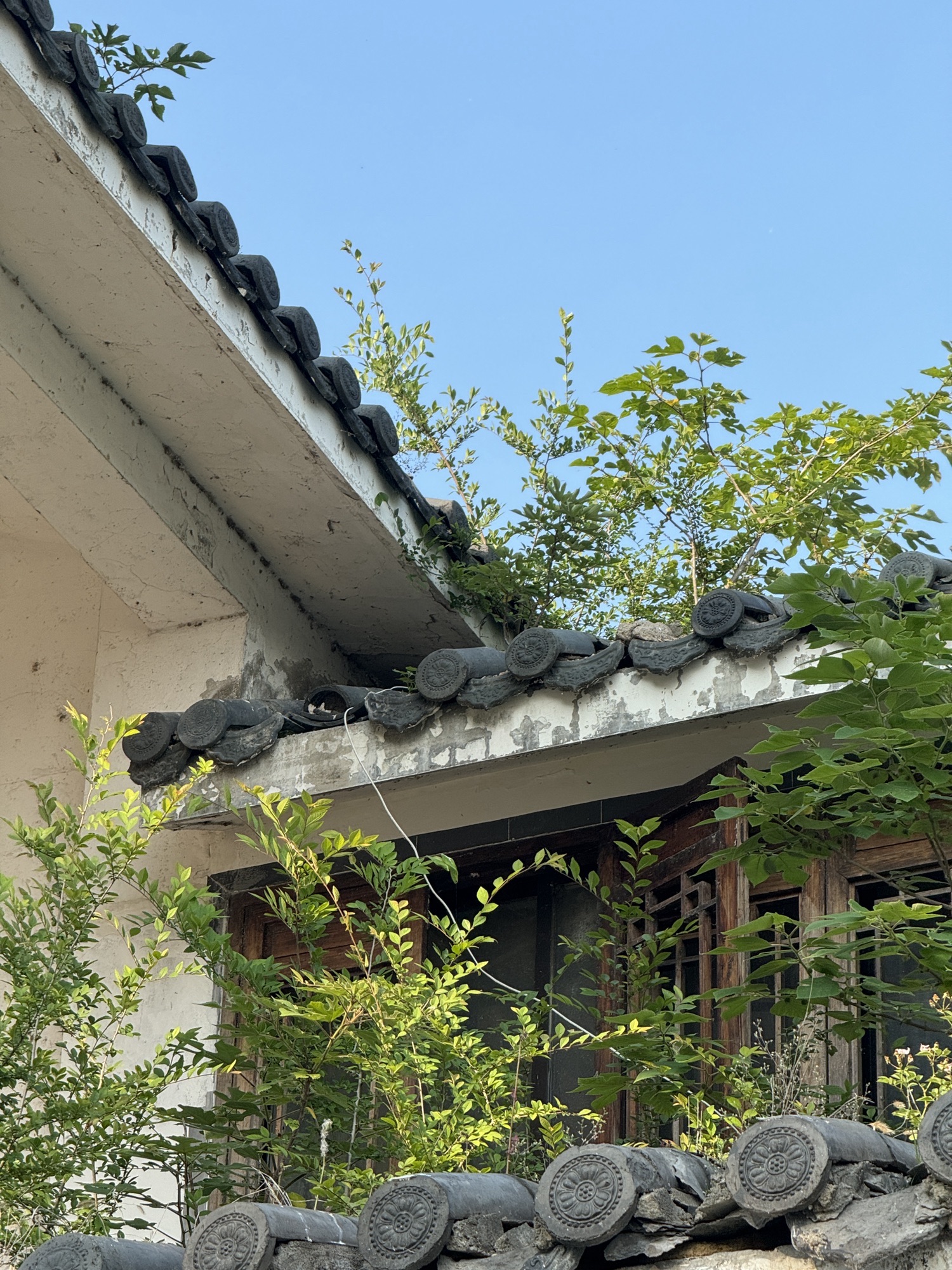 巢湖国家重点风景名胜区旅行图片 2