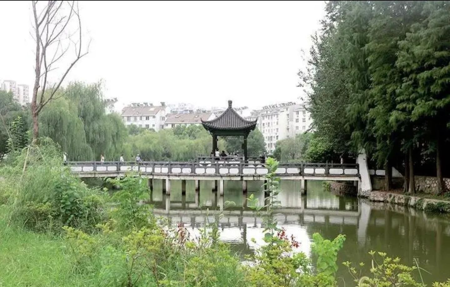 烟柳园公园旅行图片 3