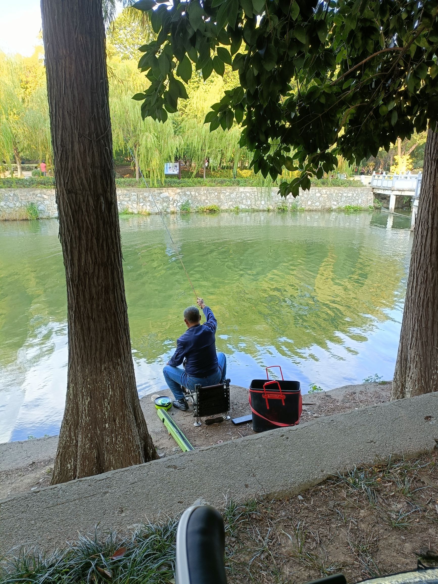 烟柳园公园旅行图片 1