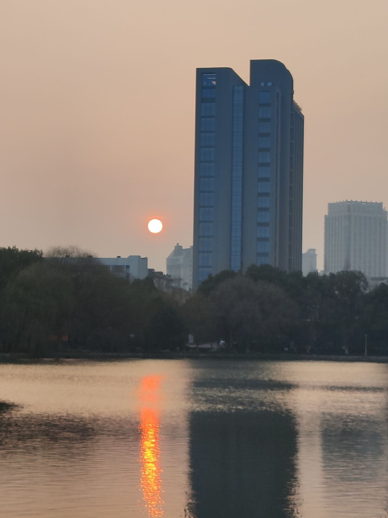 百荷公园旅行图片 2