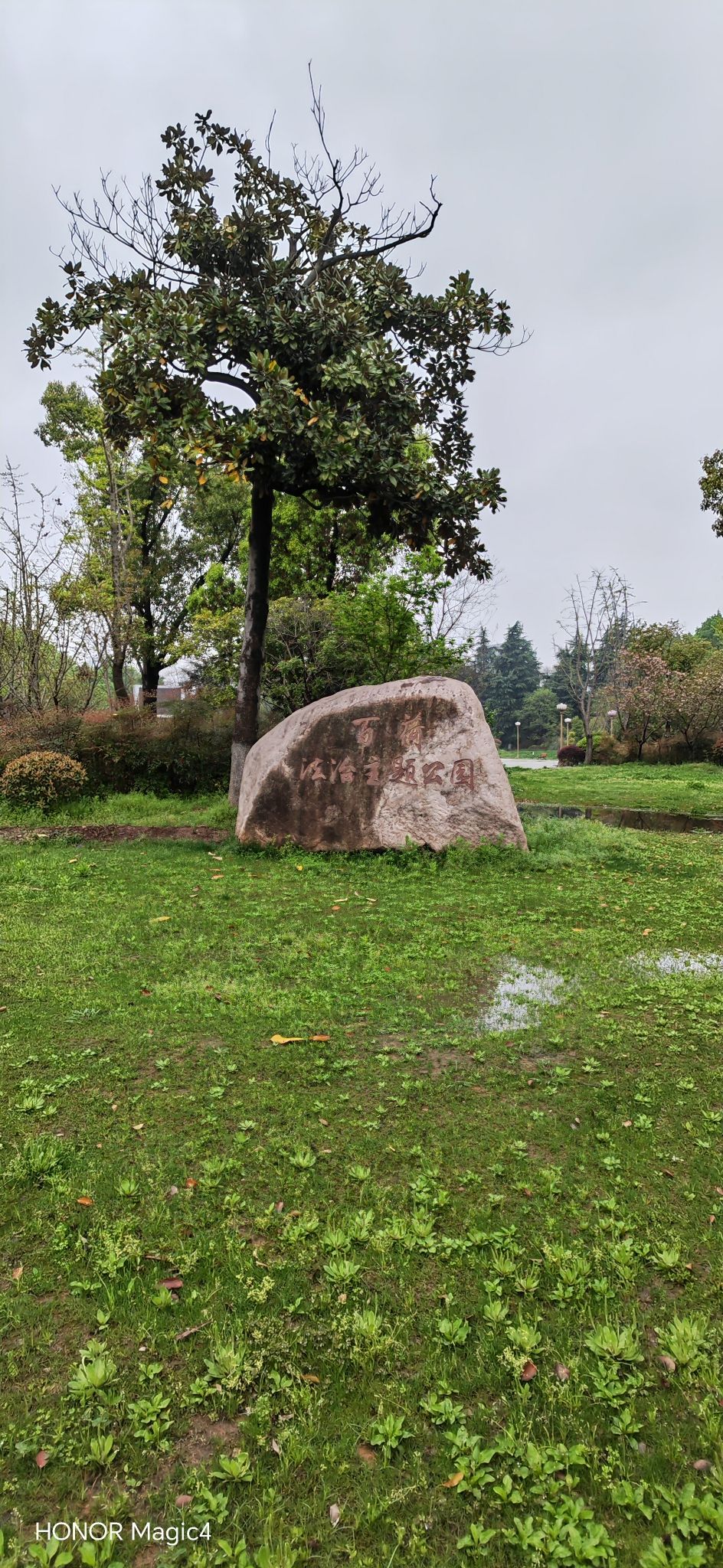 百荷公园旅行图片 2