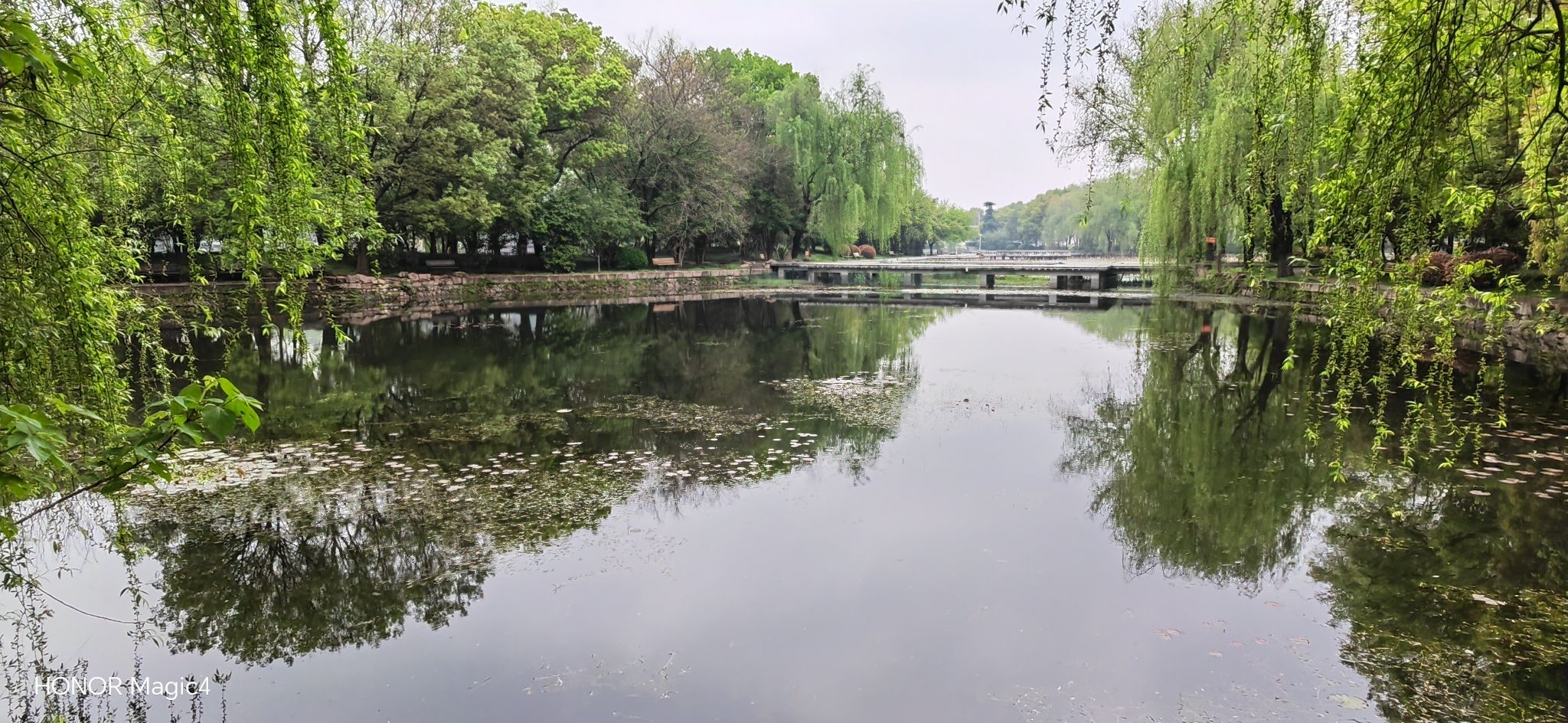 百荷公园