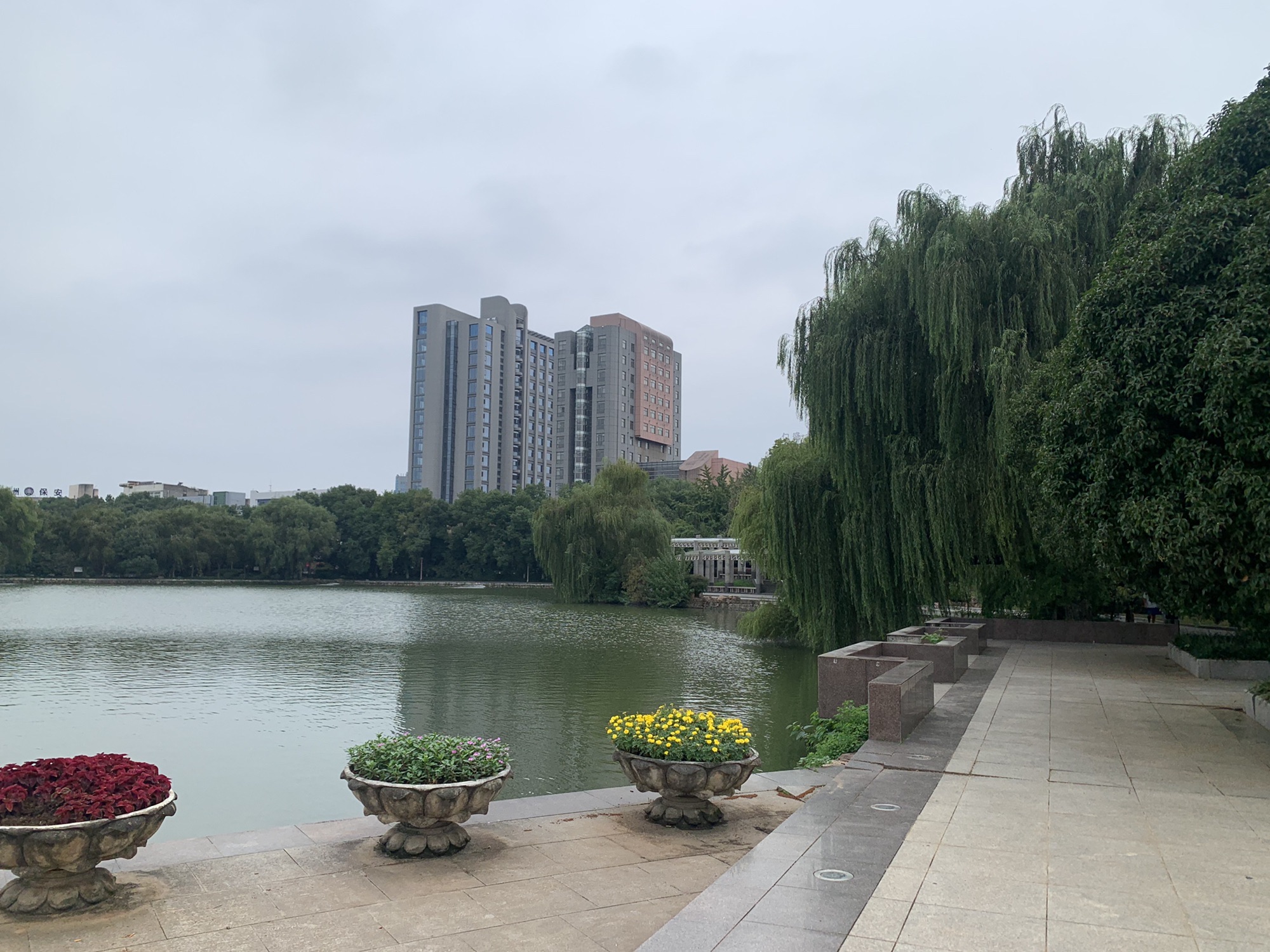 百荷公园旅行图片 3