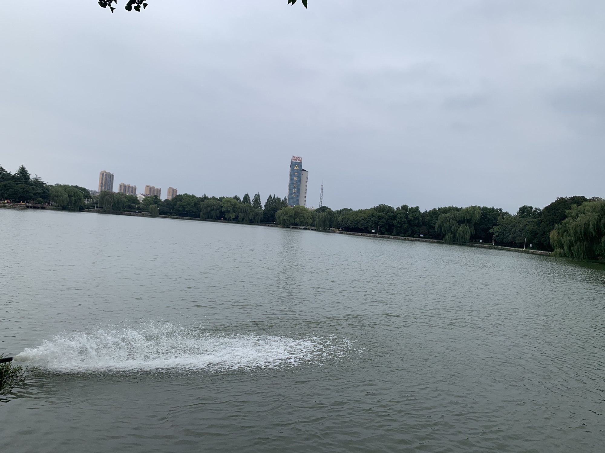 百荷公园旅行图片 2