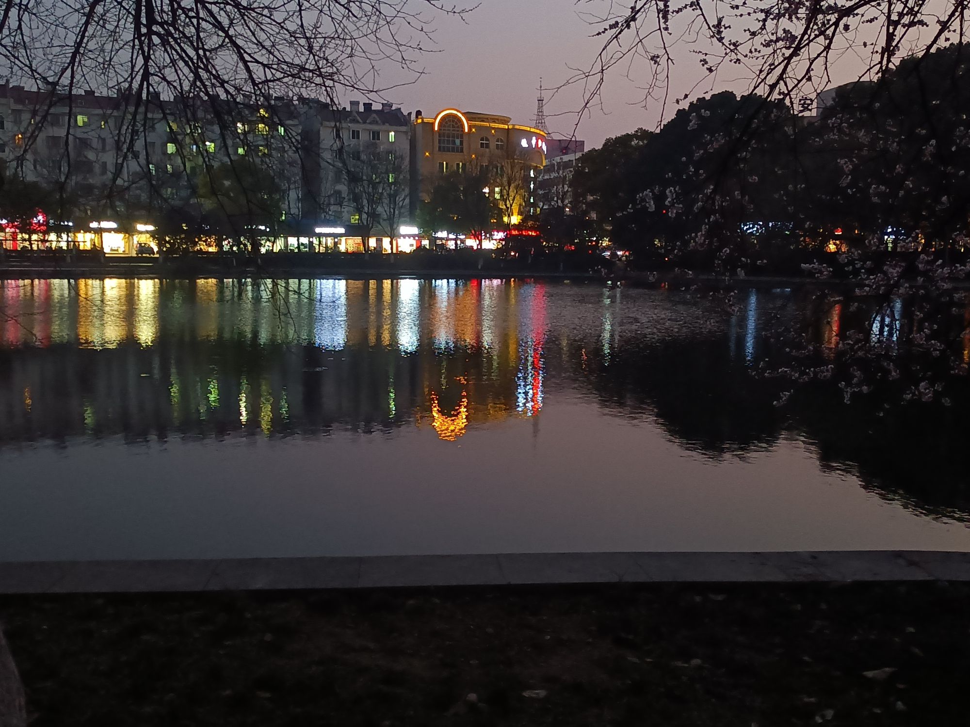 百荷公园旅行图片 1