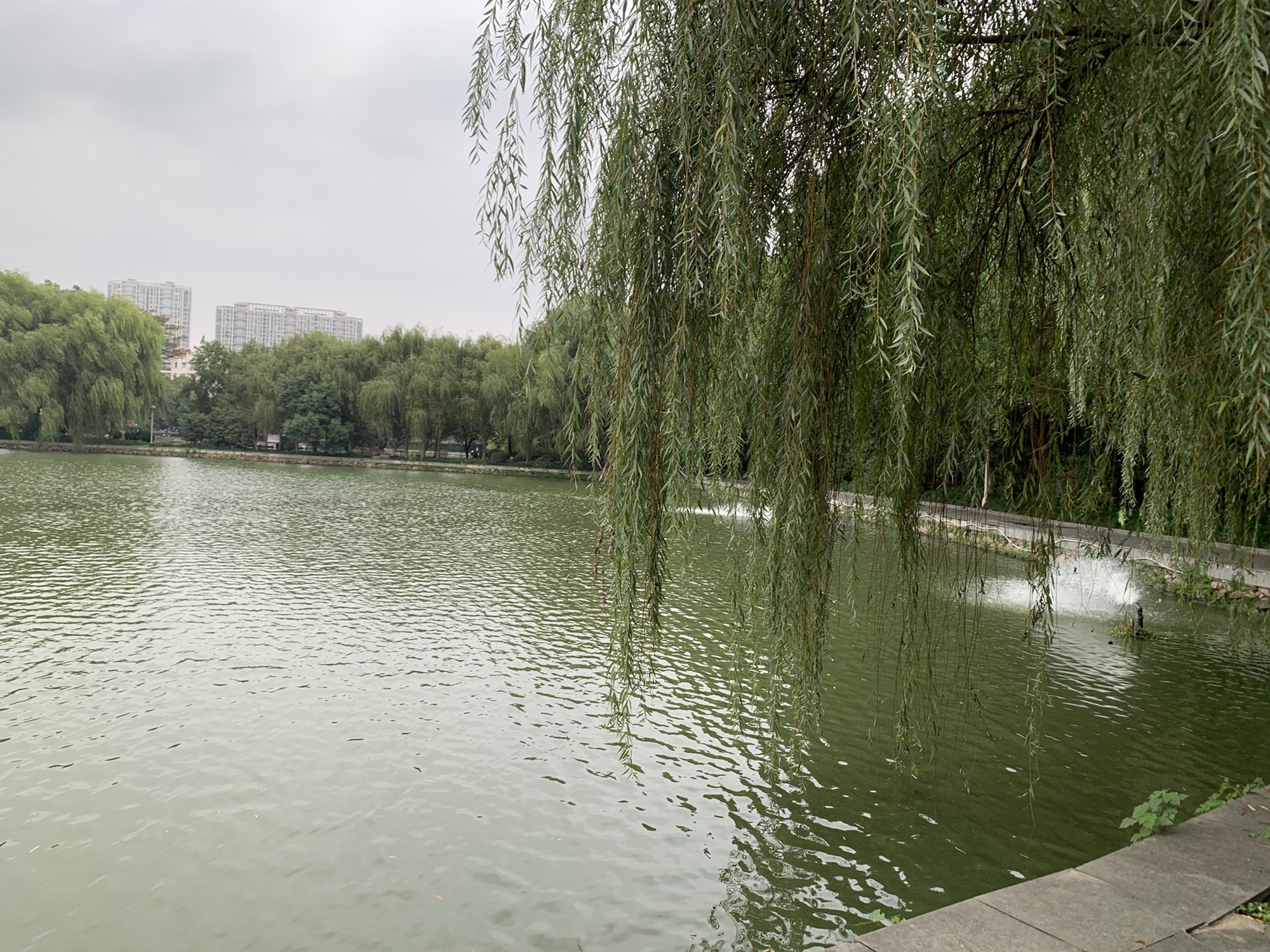 百荷公园旅行图片 1