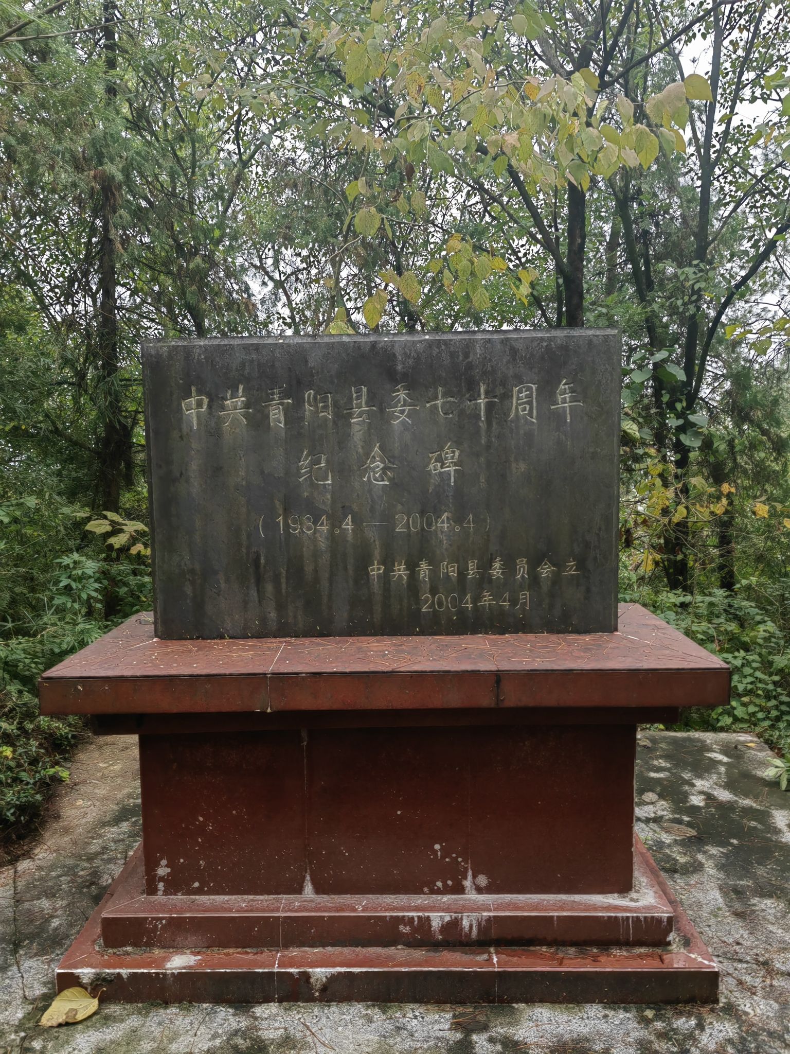 人民公园旅行图片 3
