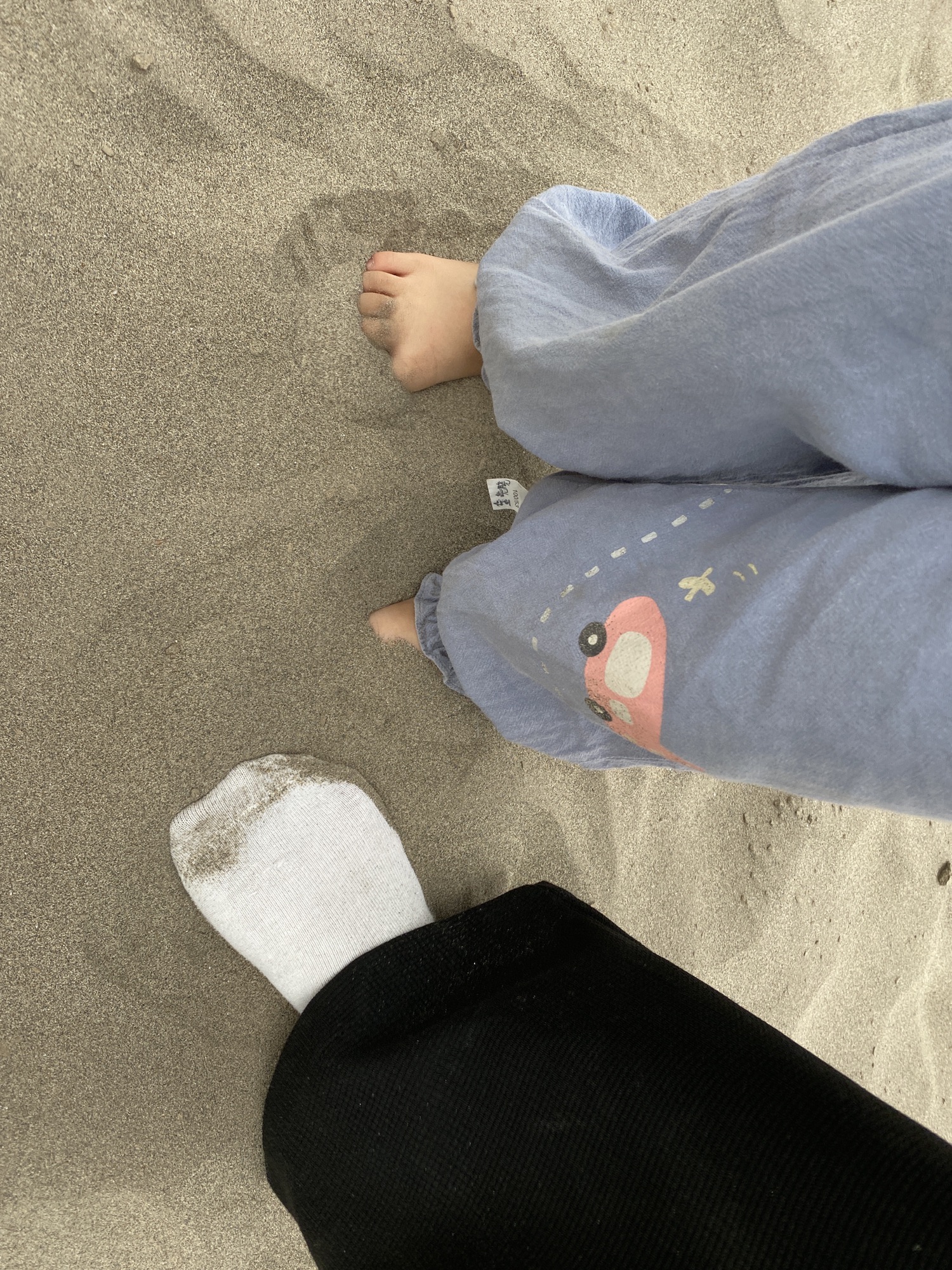 东流双塔旅行图片 1