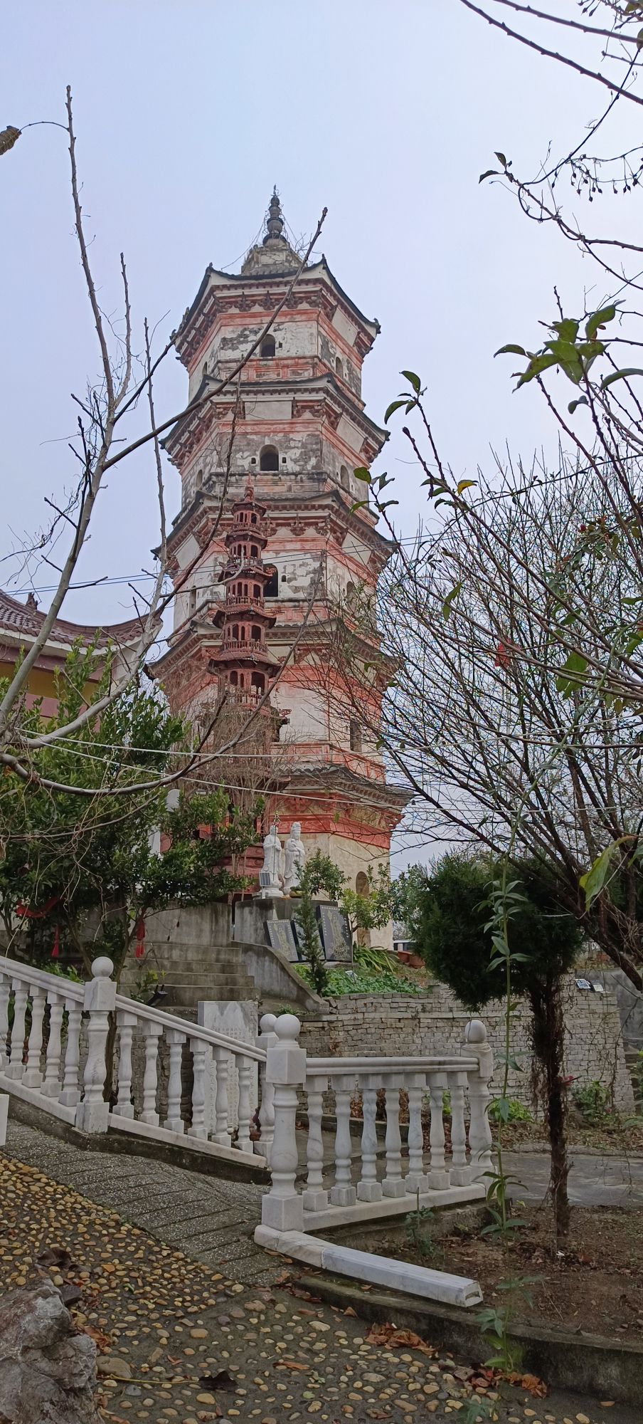 东流双塔旅行图片 1