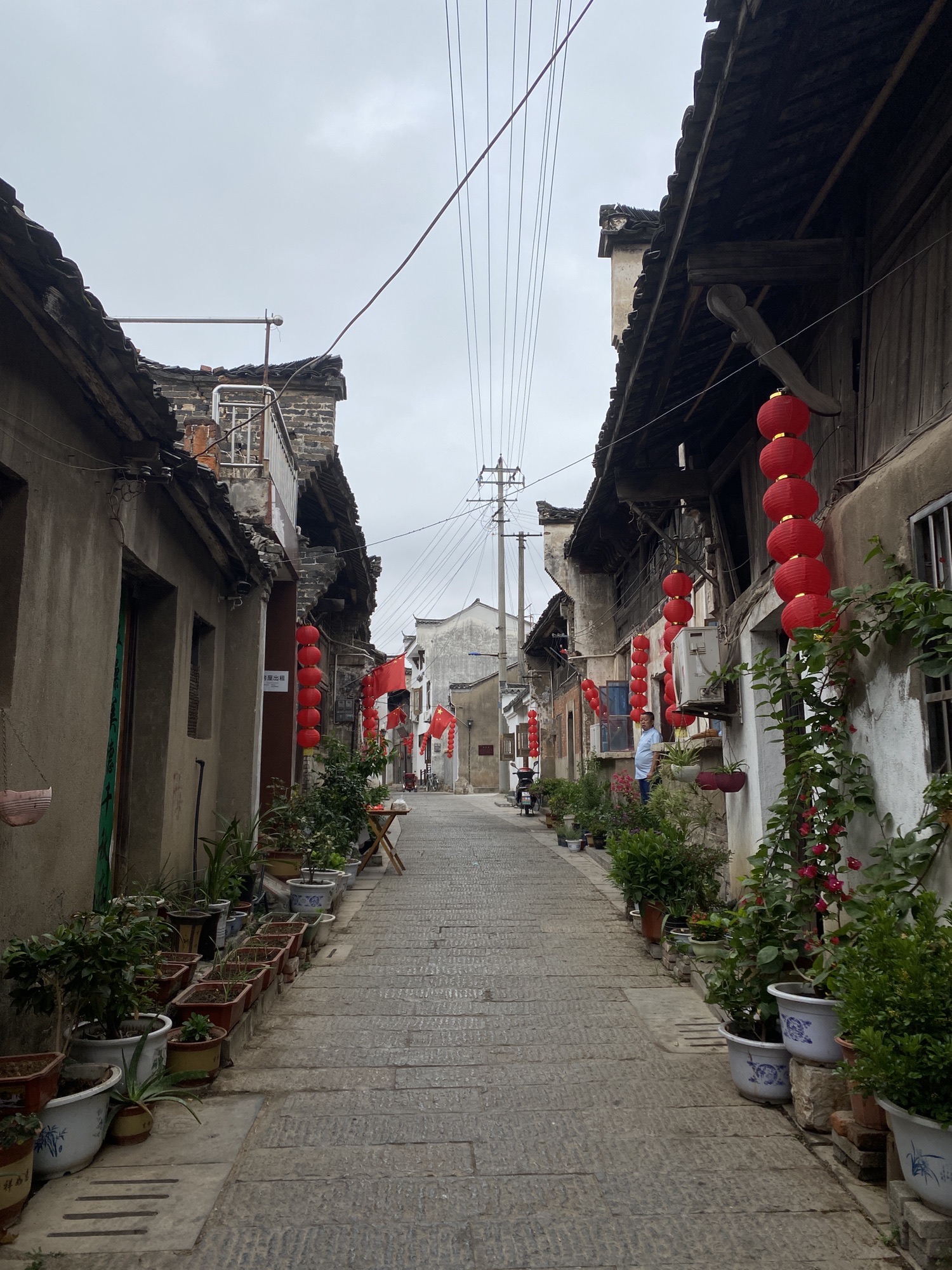 东流双塔旅行图片 3