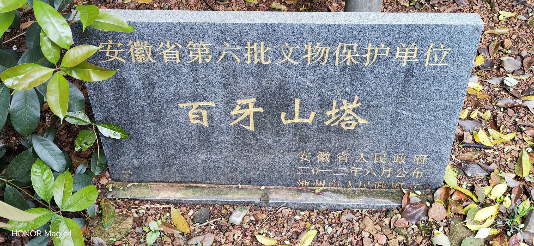 百牙塔旅行图片 3