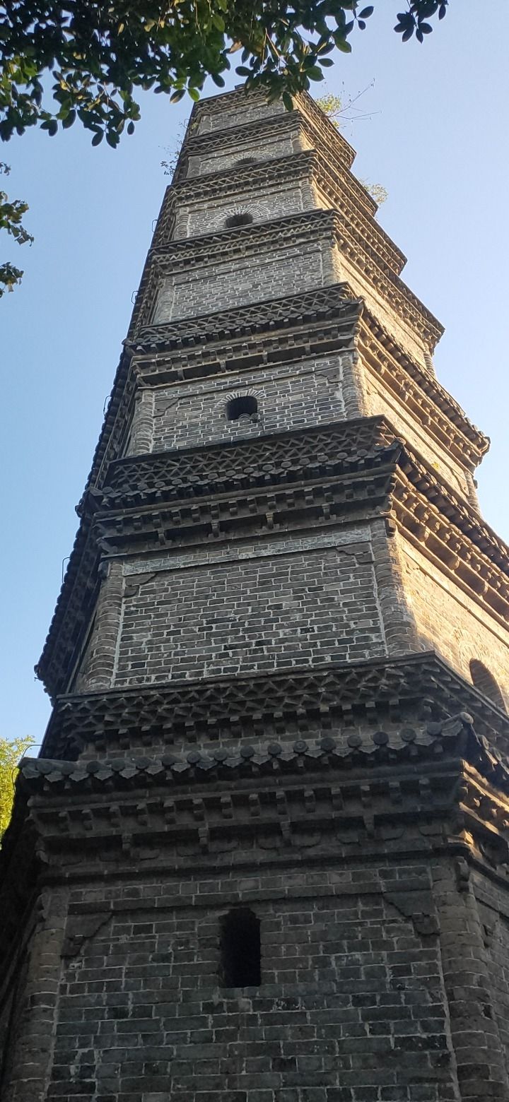 百牙塔旅行图片 3