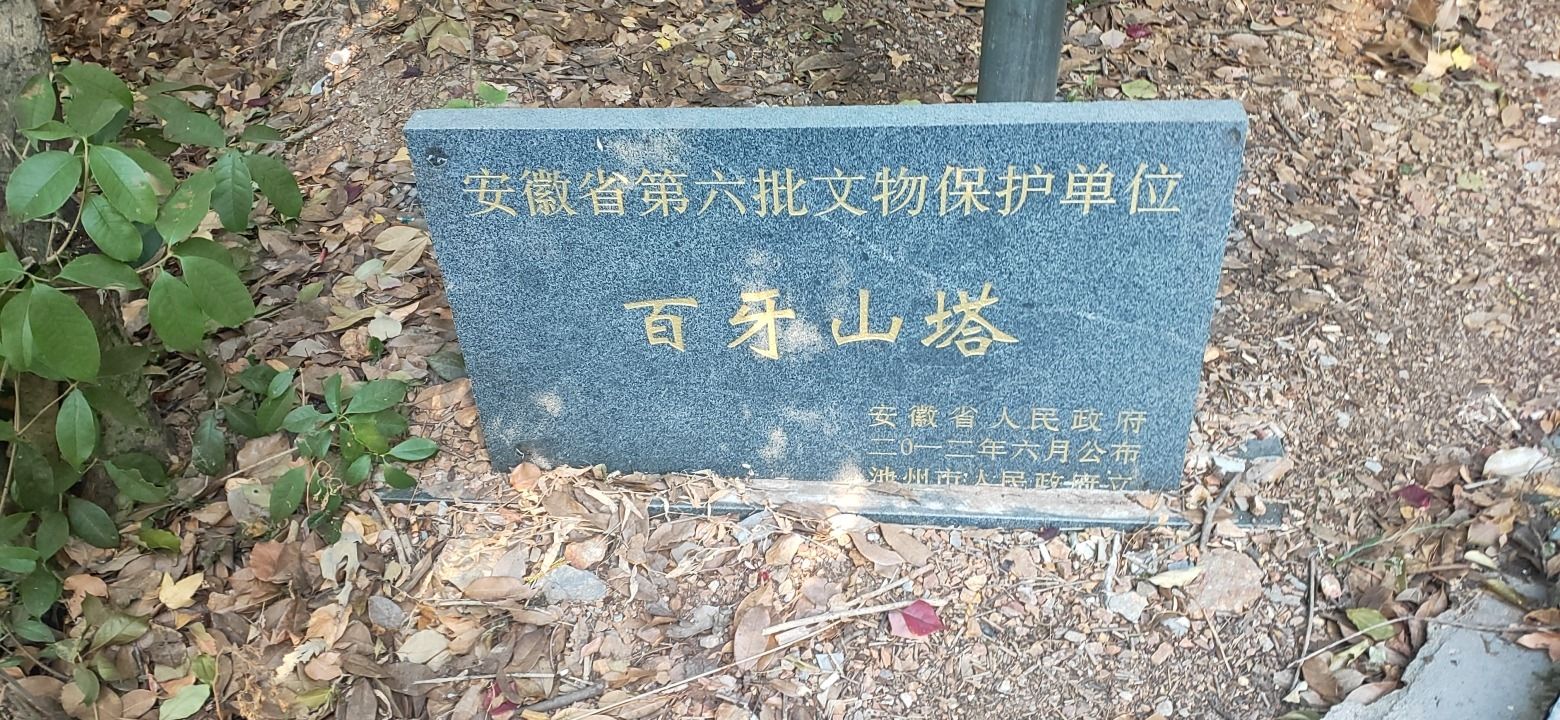 百牙塔旅行图片 2