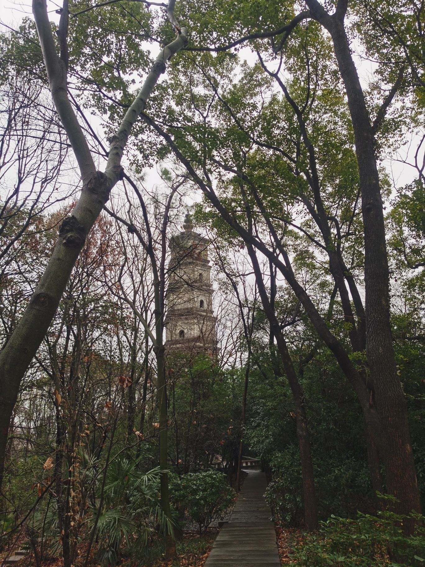 百牙塔旅行图片 2