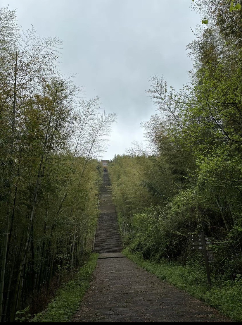 池州大历山风景区旅行图片 1
