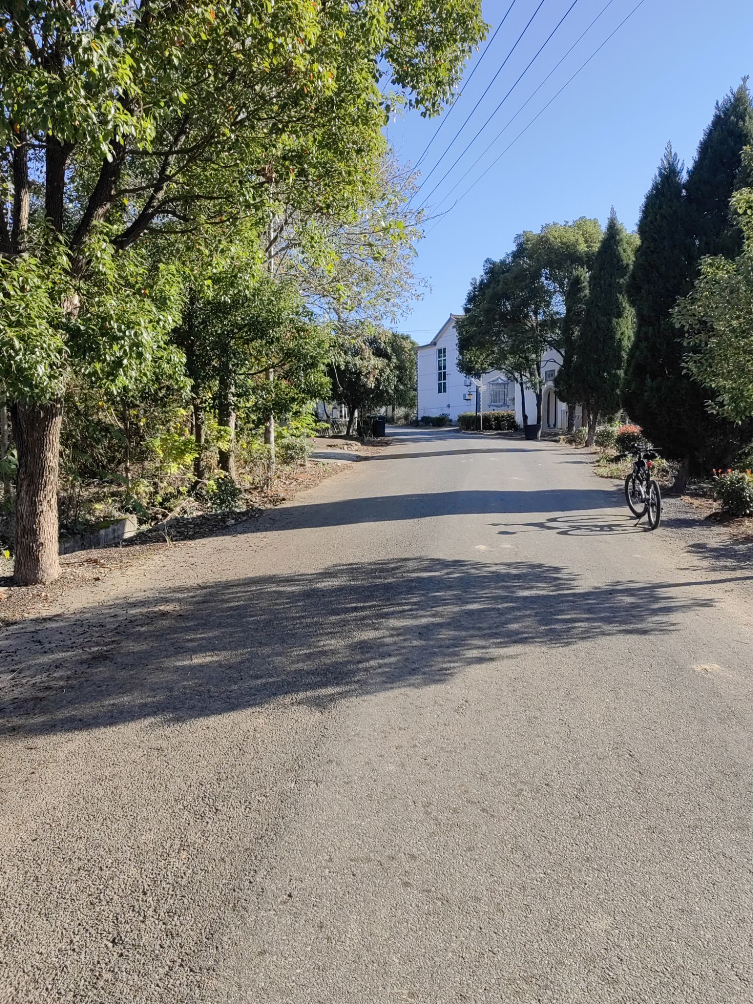 池州大历山风景区旅行图片 3