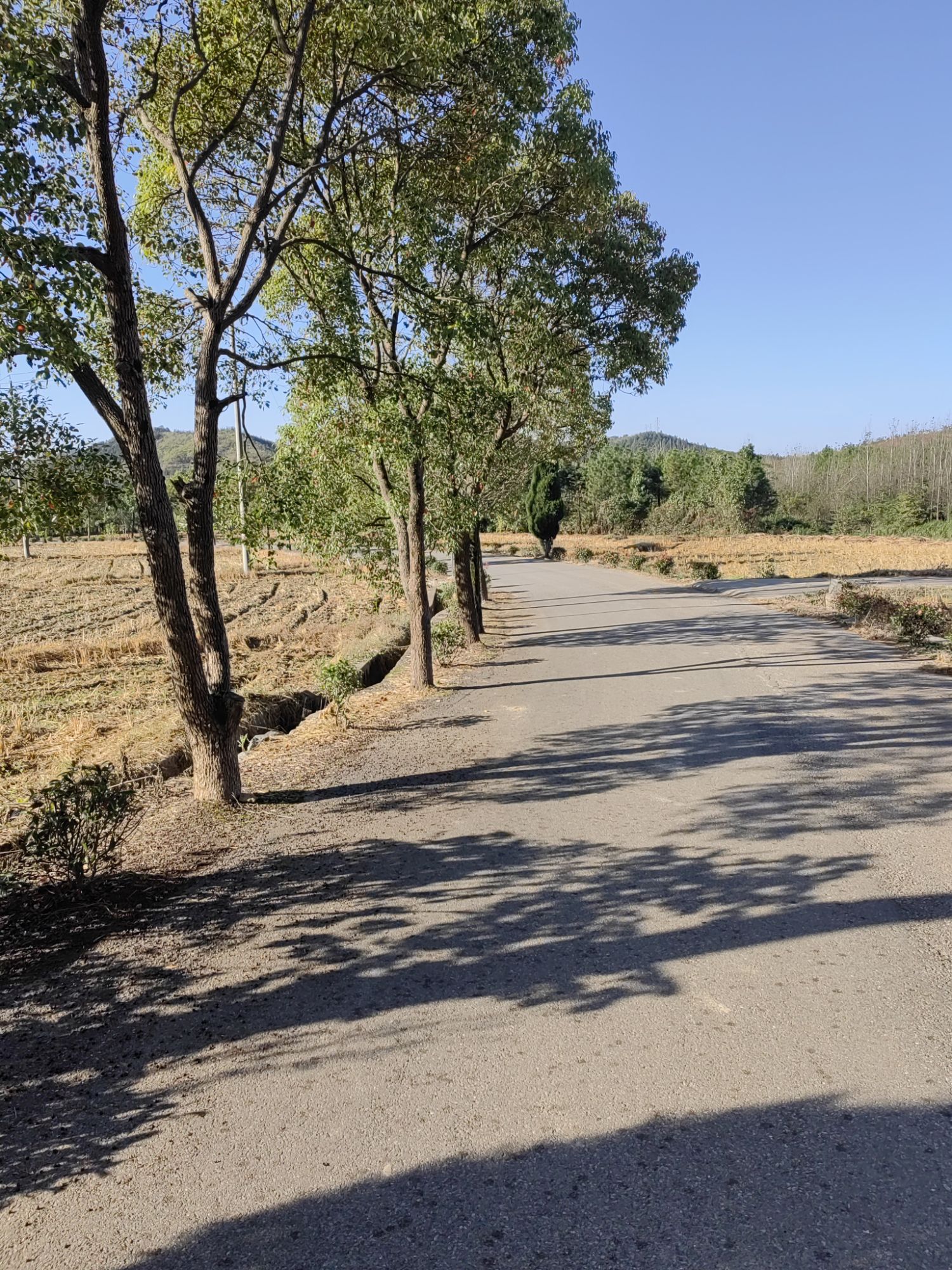 池州大历山风景区旅行图片 2