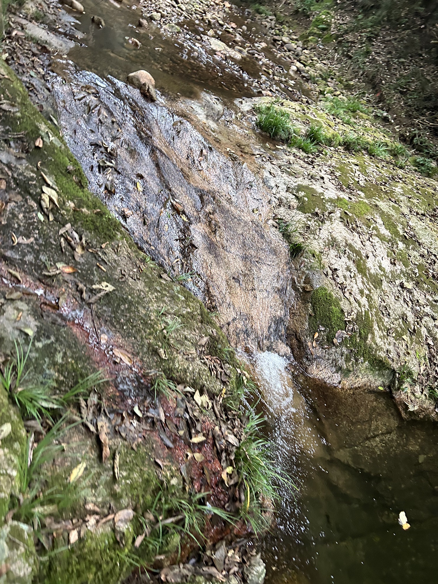 百丈崖风景区(暂停开放)旅行图片 2