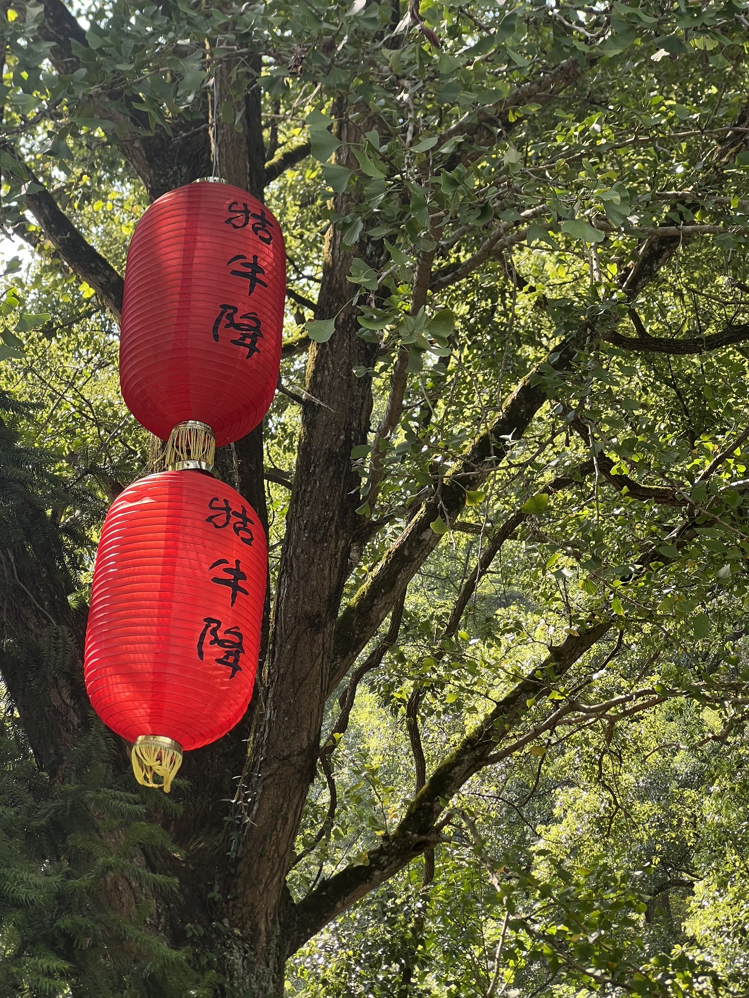 仙寓山风景区旅行图片 1