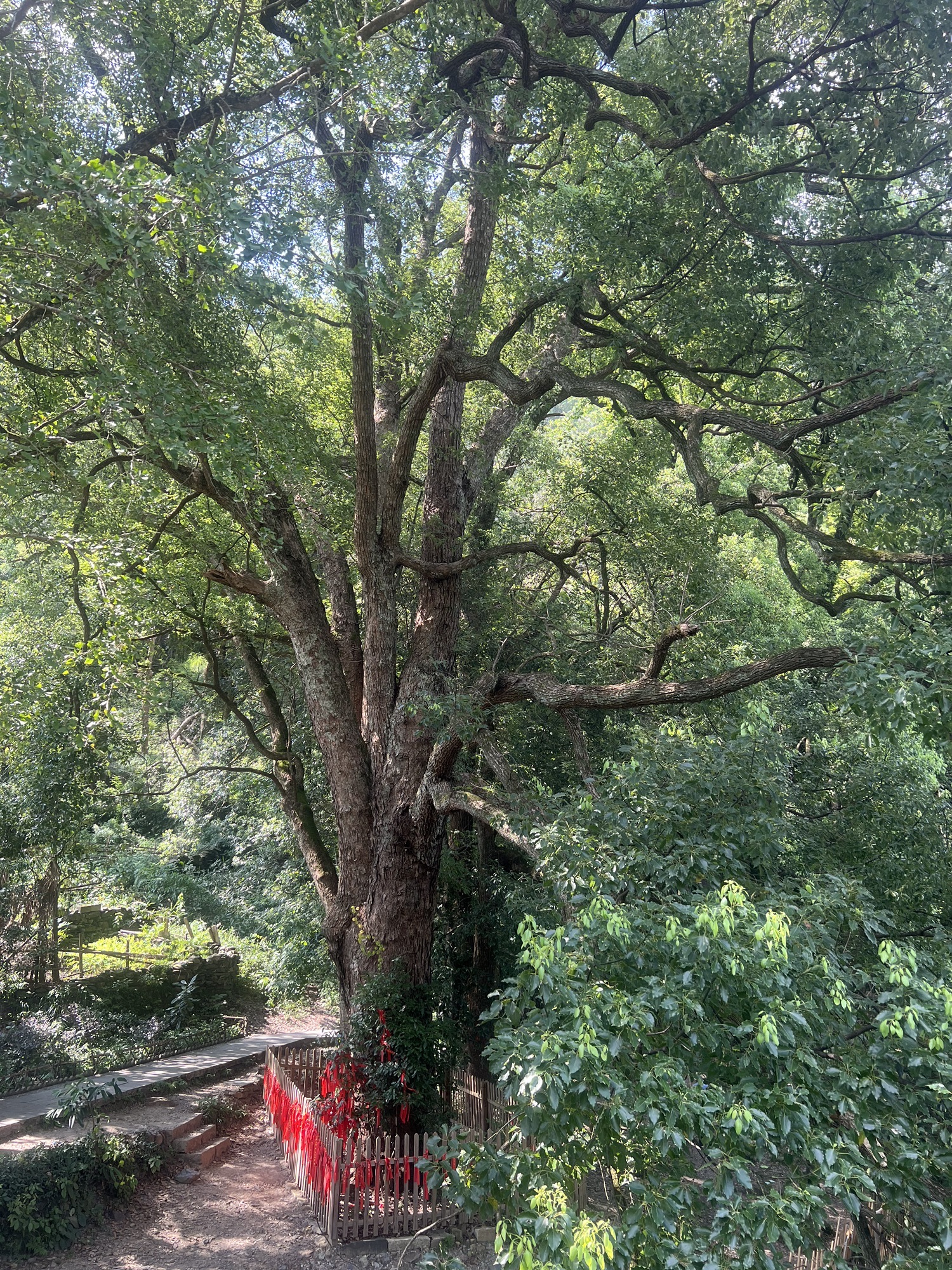 仙寓山风景区旅行图片 2