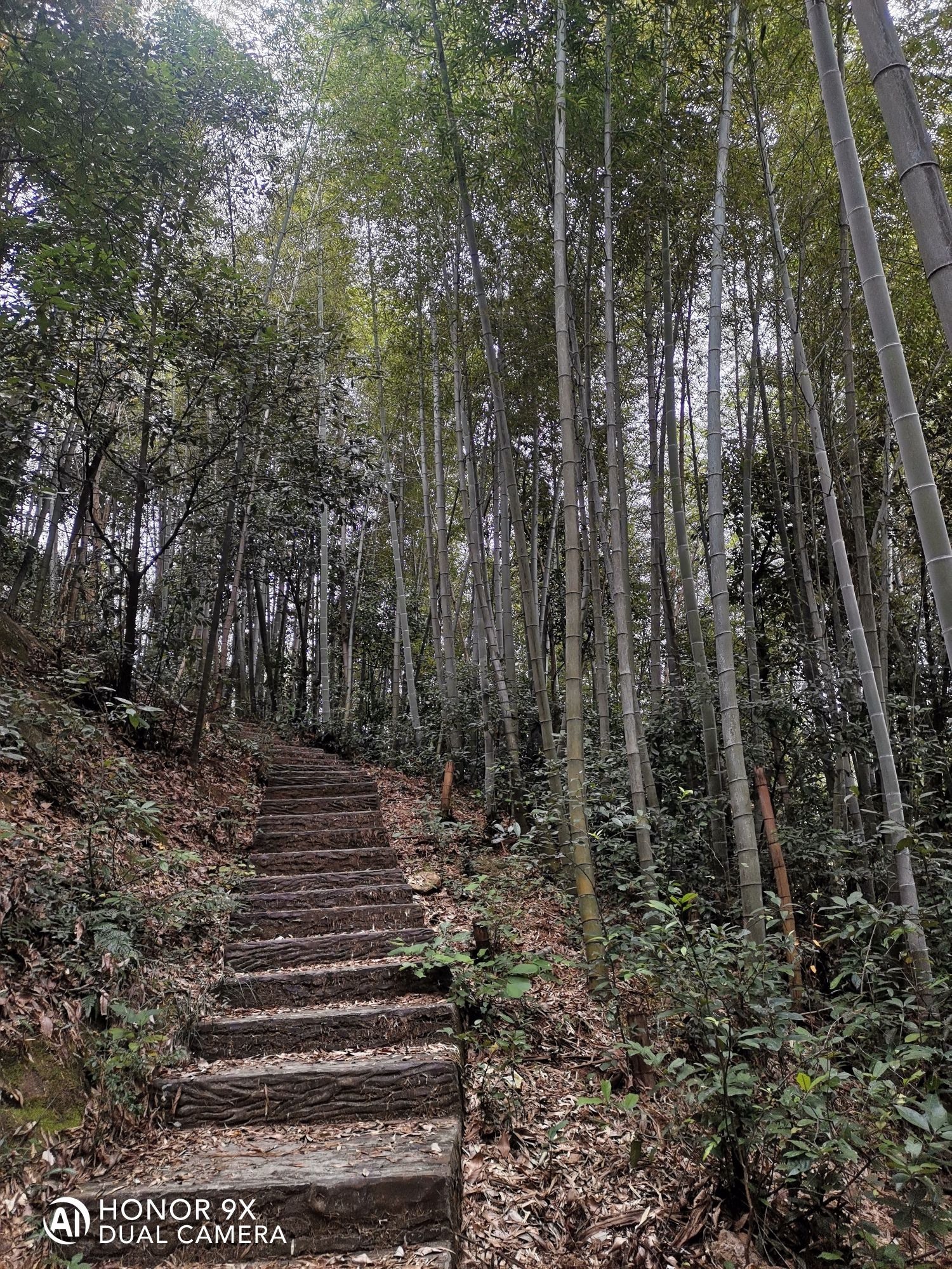 万罗山风景区旅行图片 2