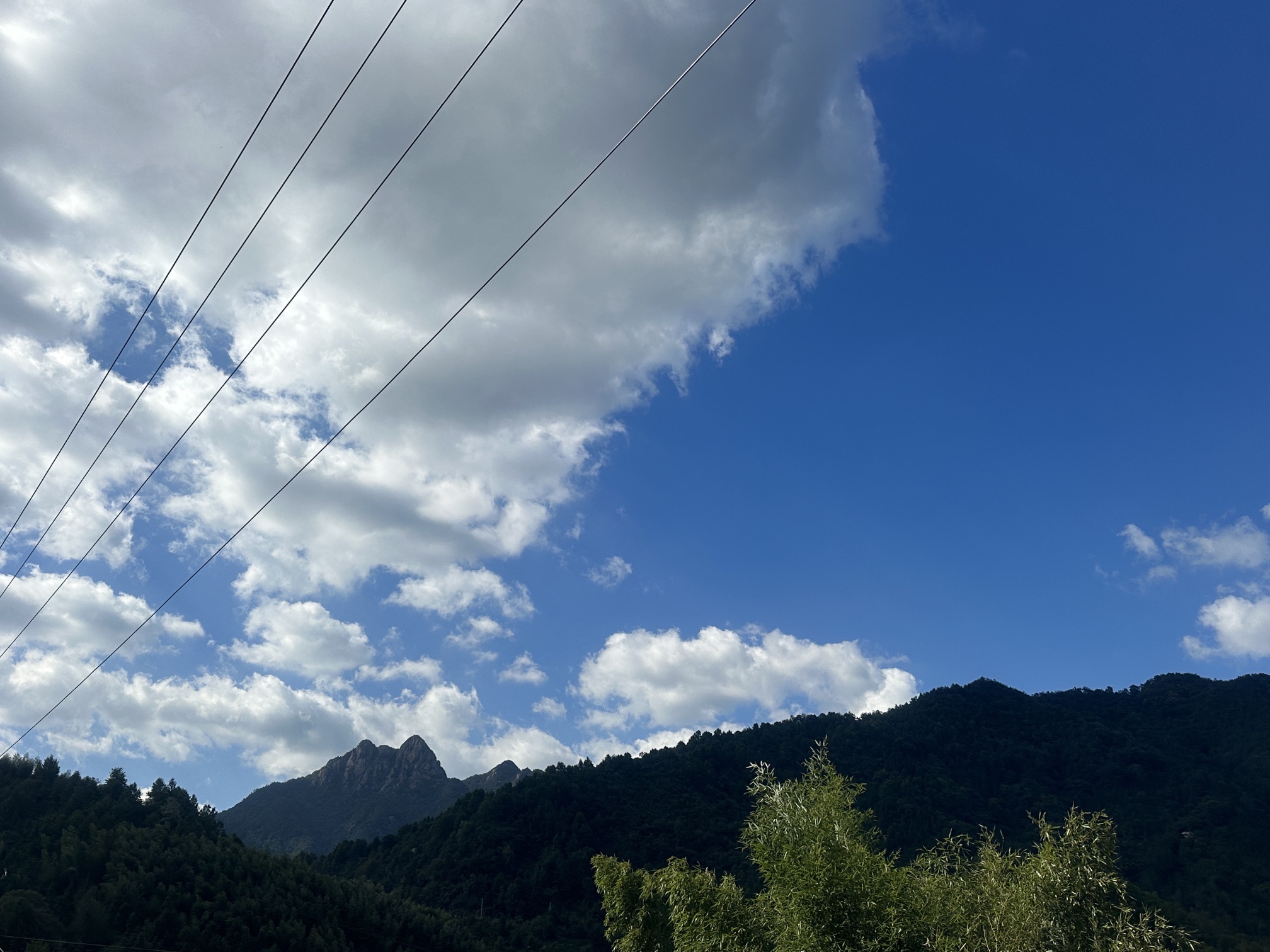 将军湖风景区旅行图片 1