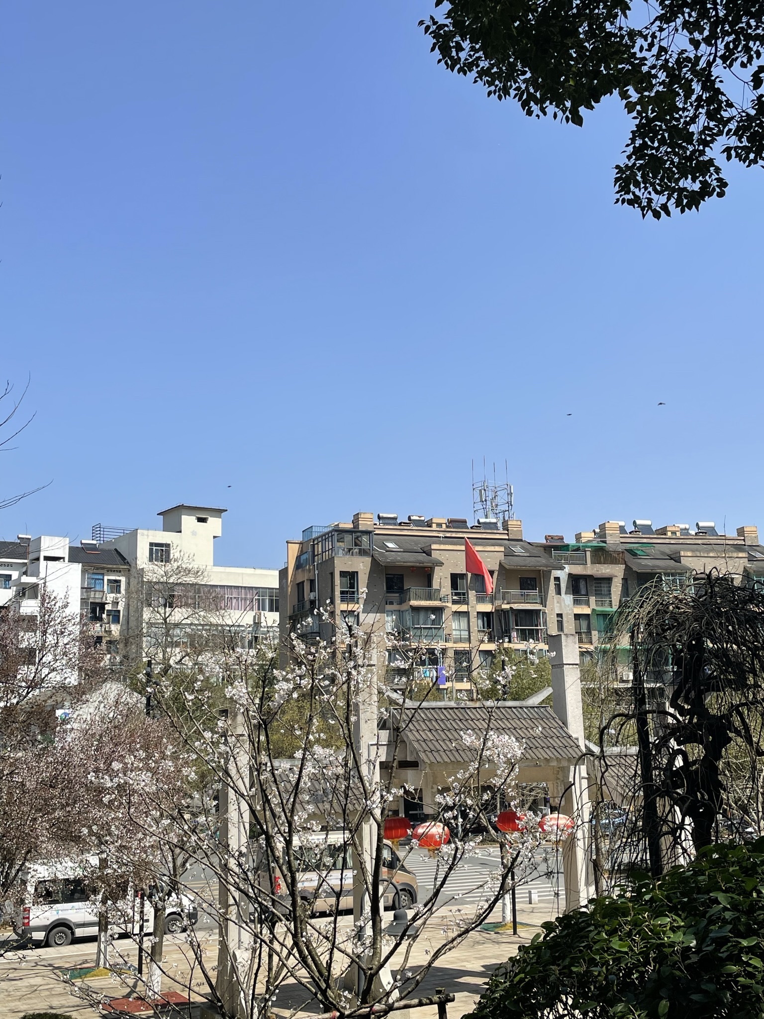 塔山公园旅行图片 2