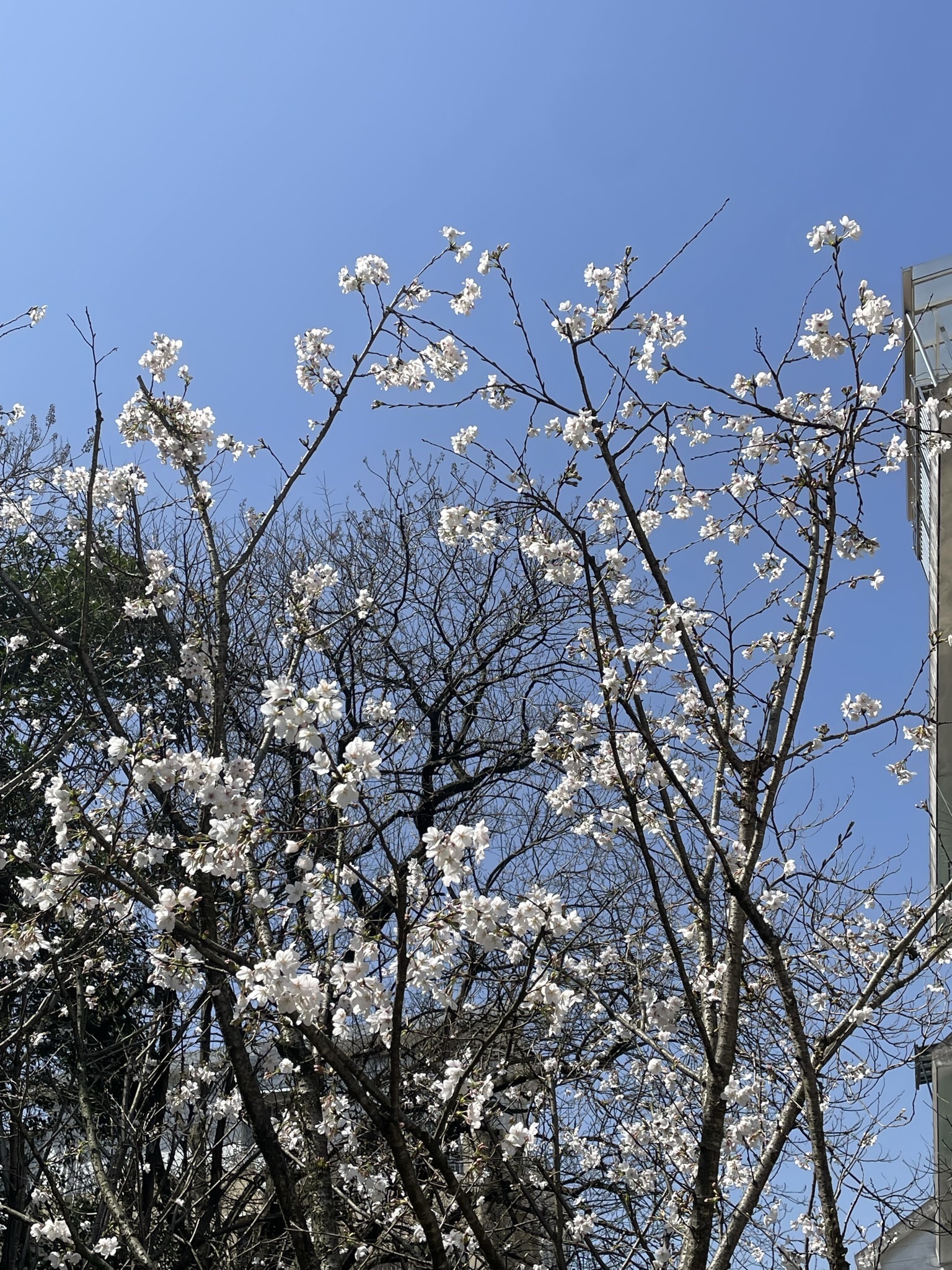 塔山公园旅行图片 3