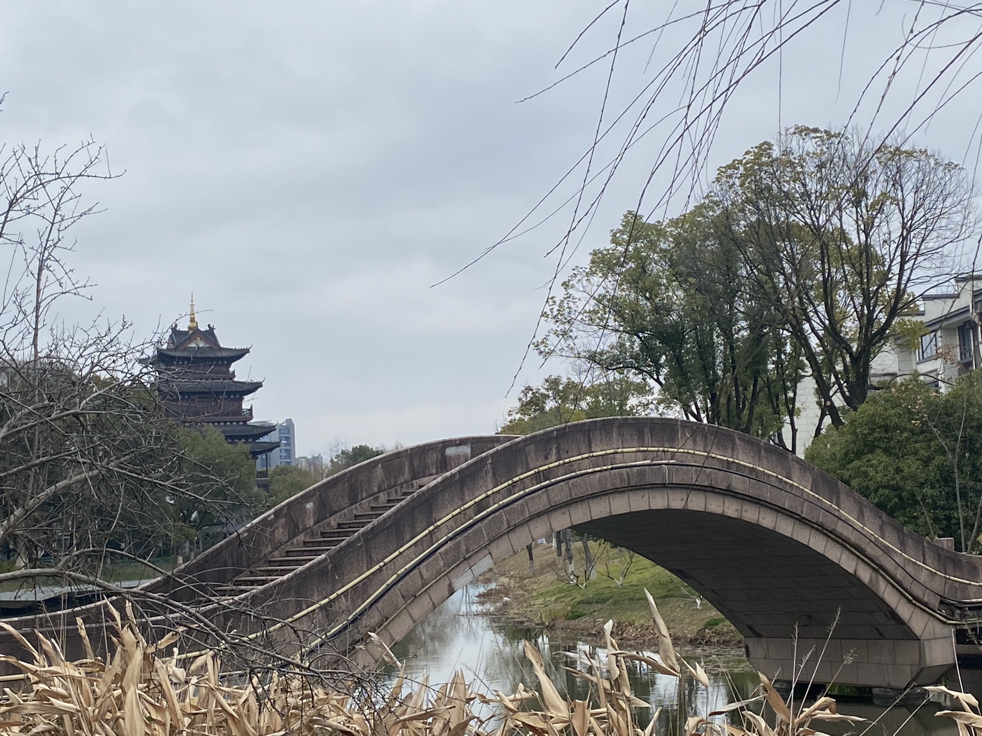 斗潭公园旅行图片 1