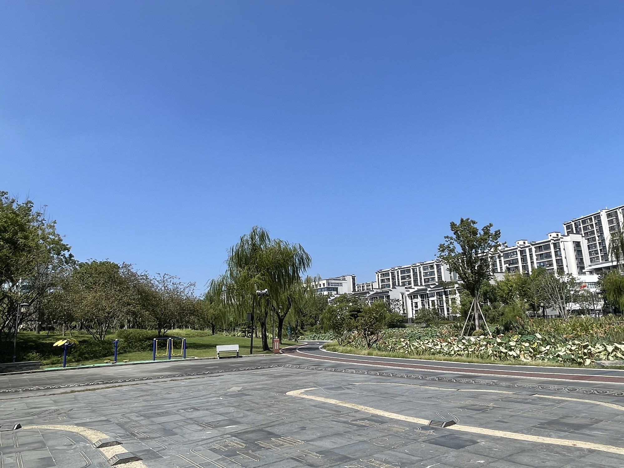 斗潭公园旅行图片 3