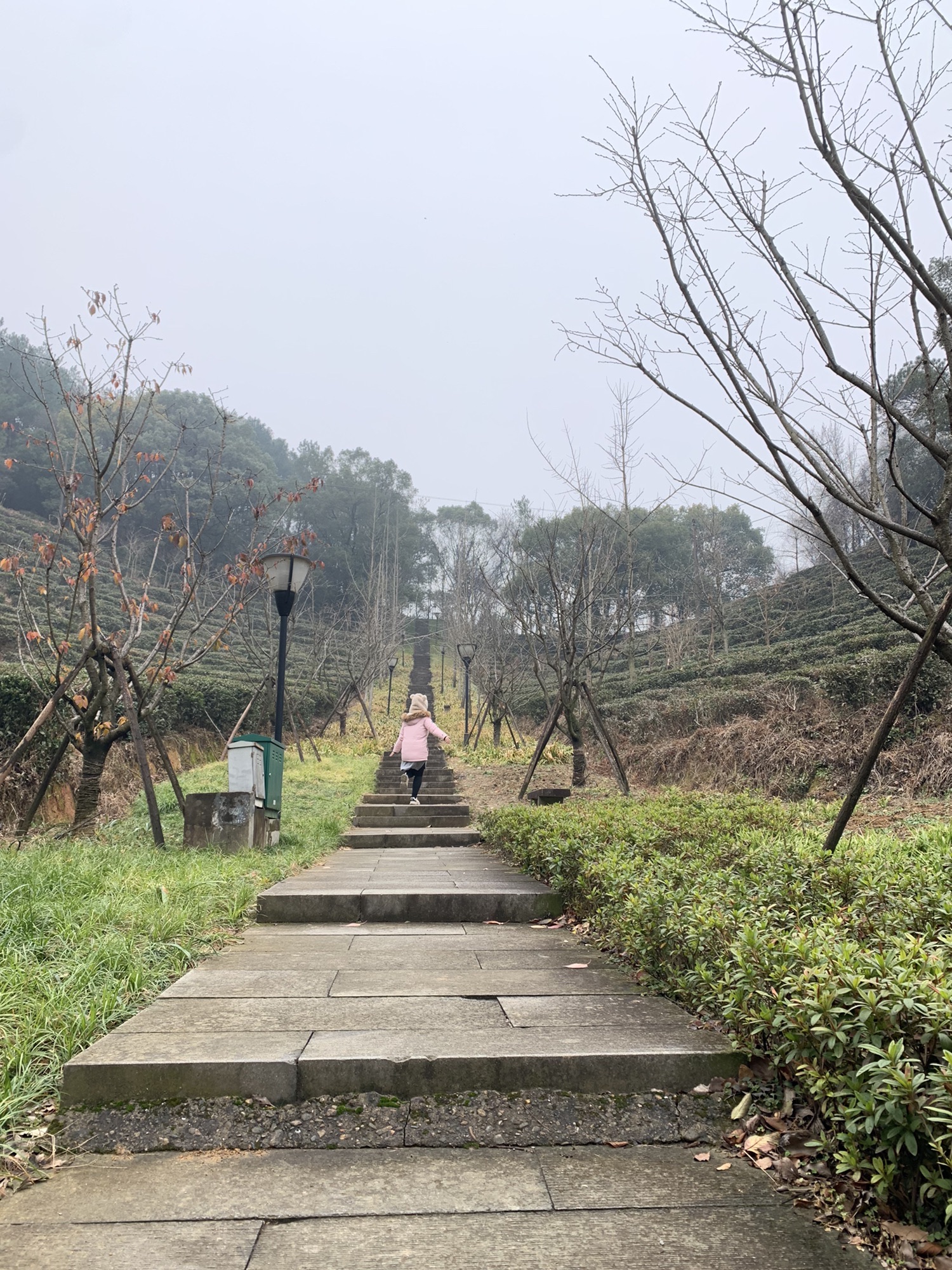东明湖公园旅行图片 3