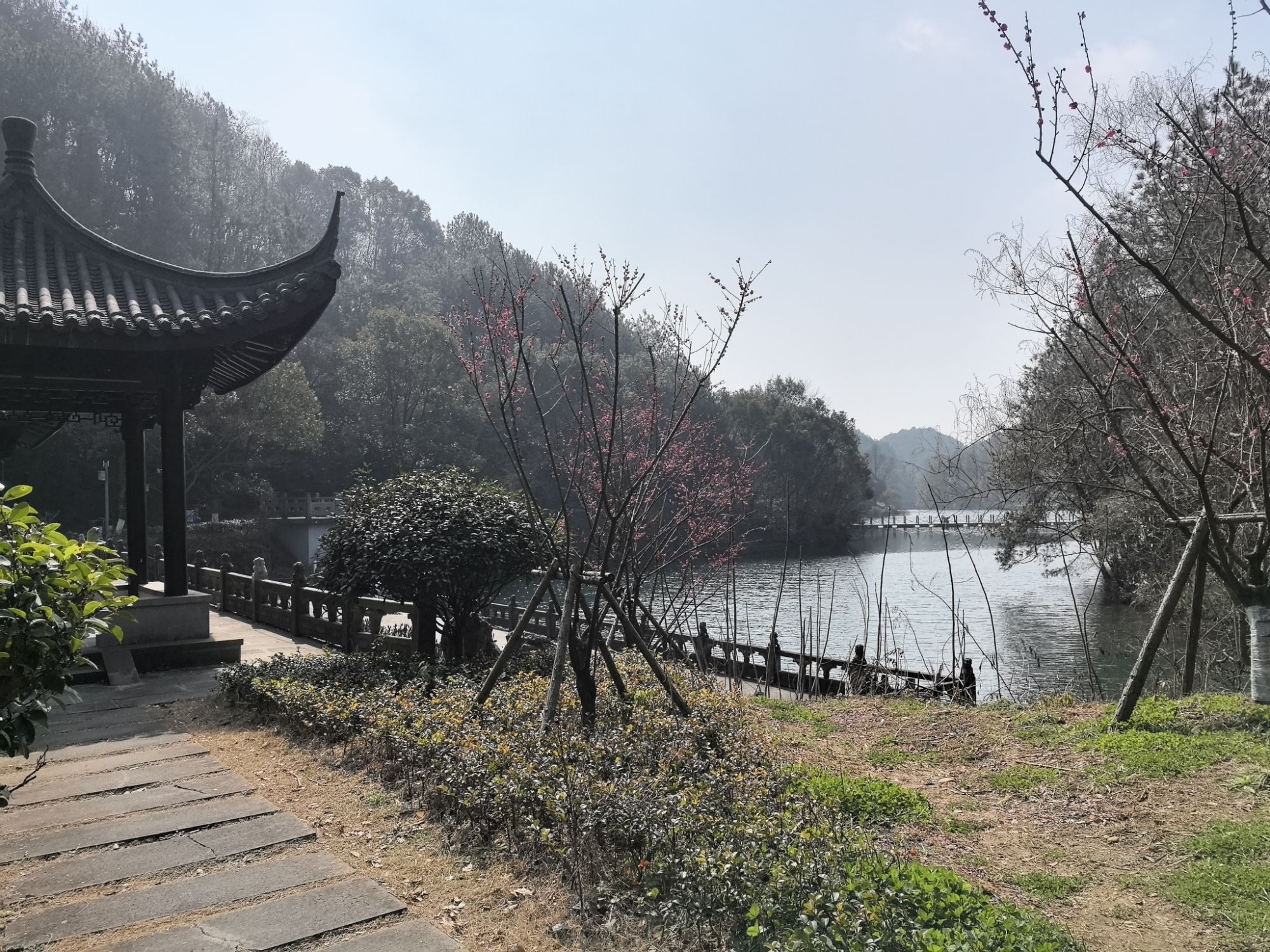 东明湖公园旅行图片 3