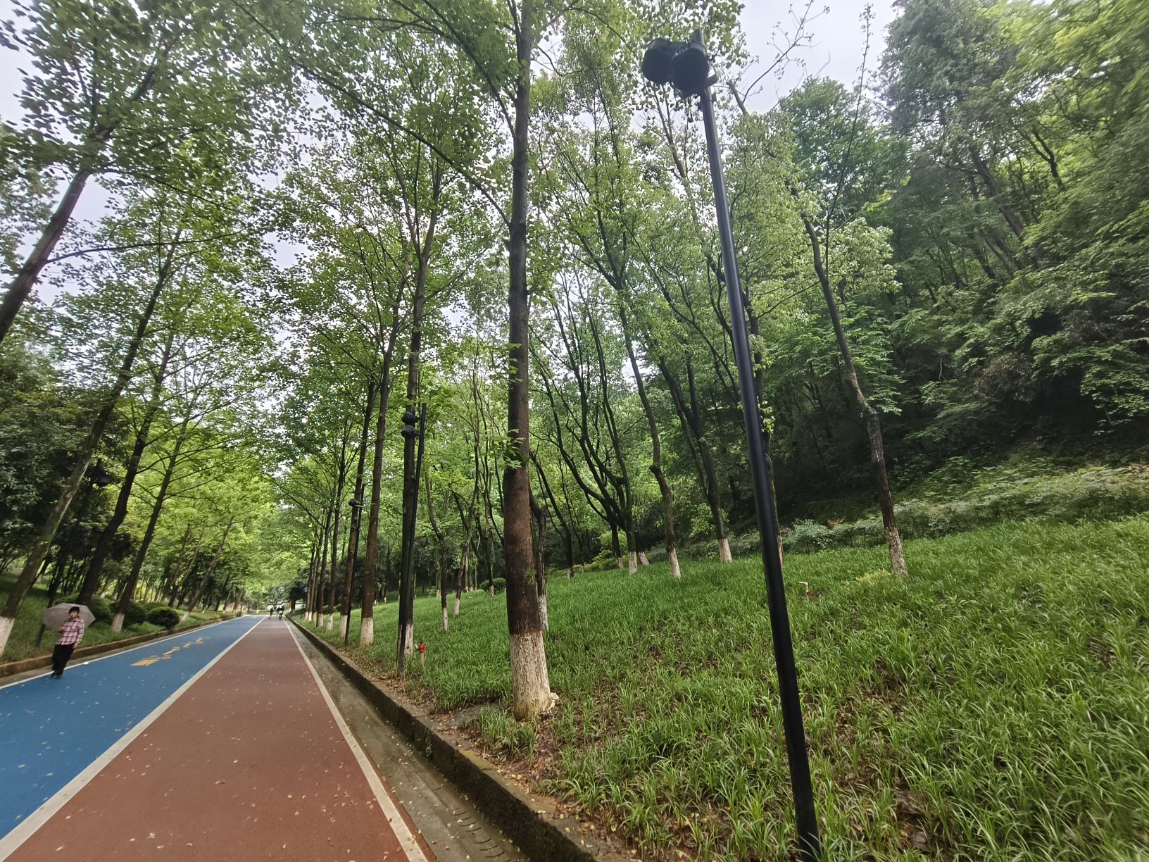 东明湖公园旅行图片 3