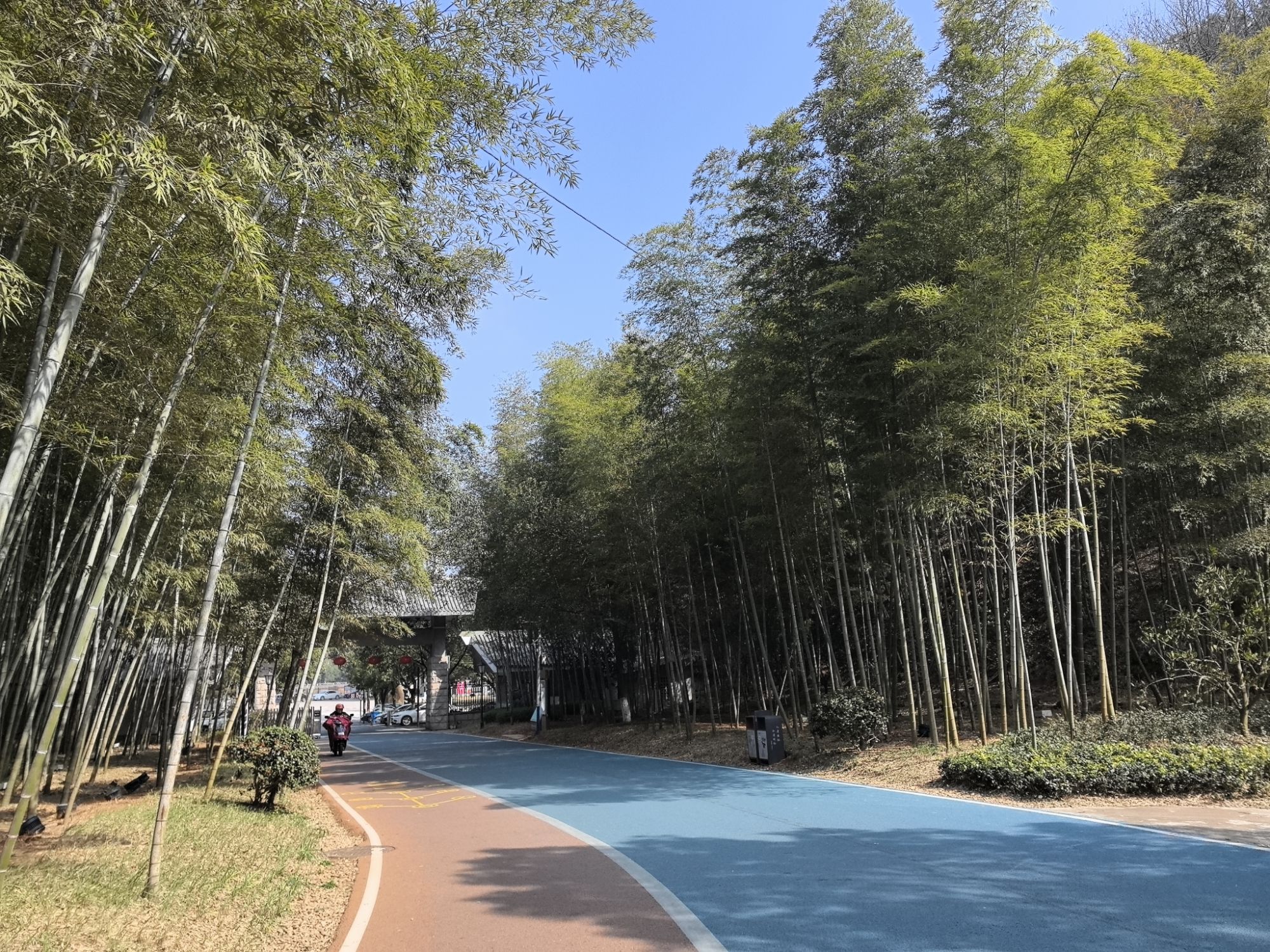 东明湖公园旅行图片 1