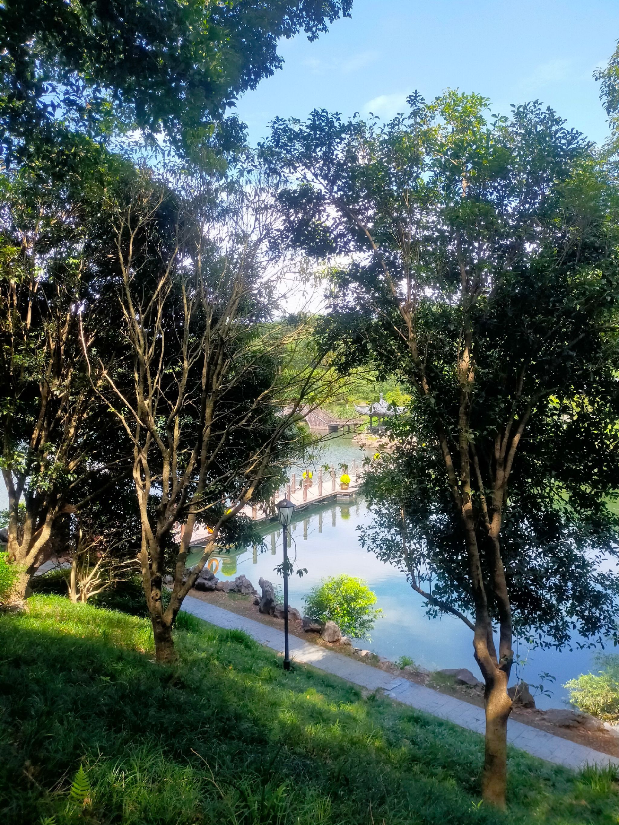 东明湖公园旅行图片 3