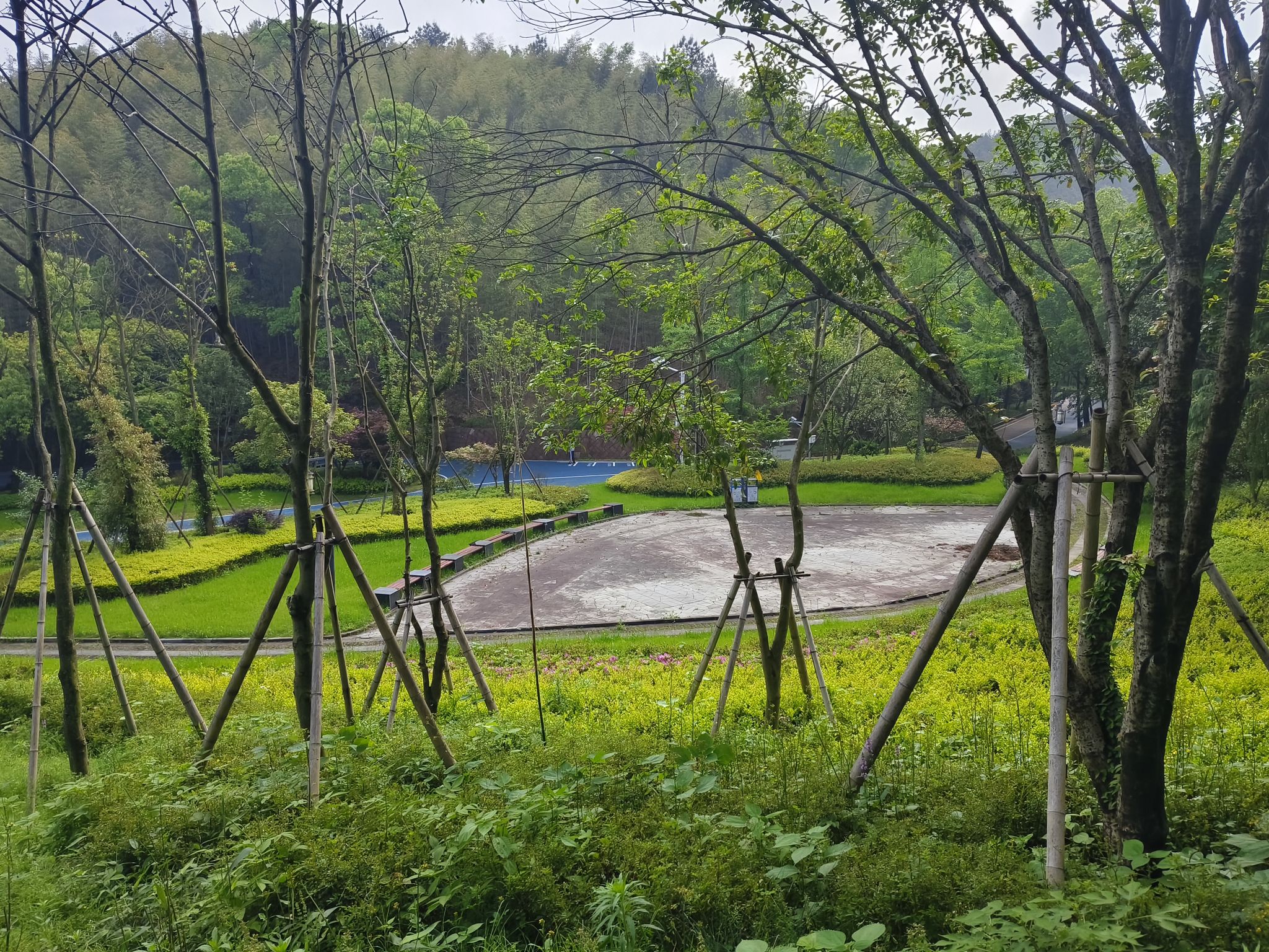 东明湖公园旅行图片 2