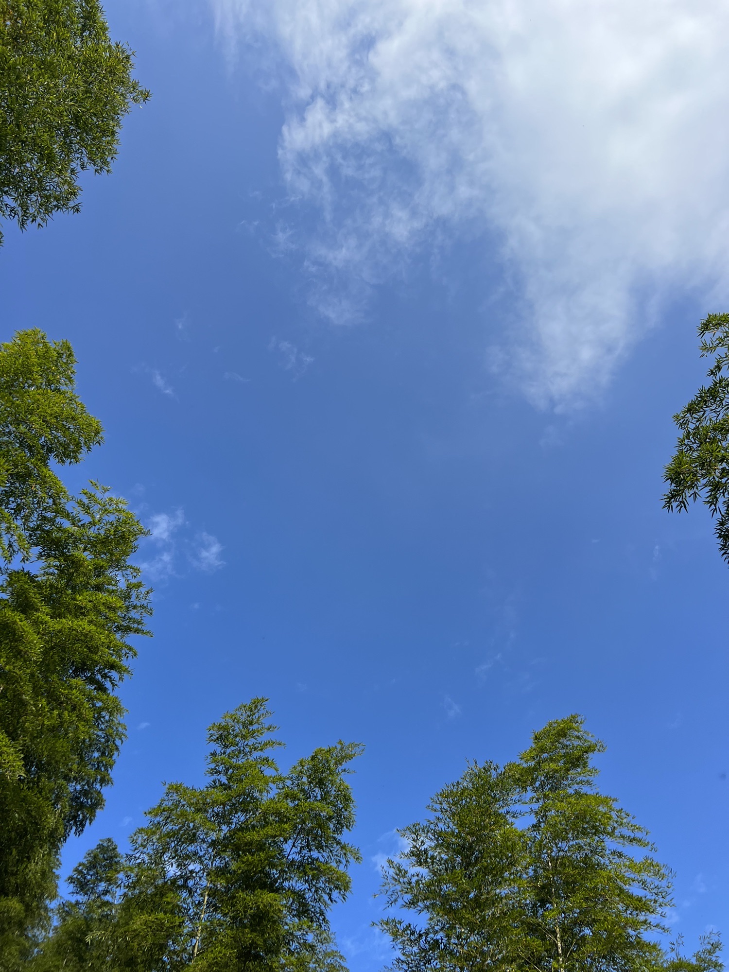 浮盖山风景区旅行图片 1