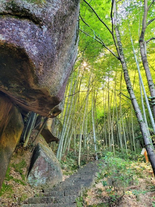 浮盖山风景区旅行图片 1
