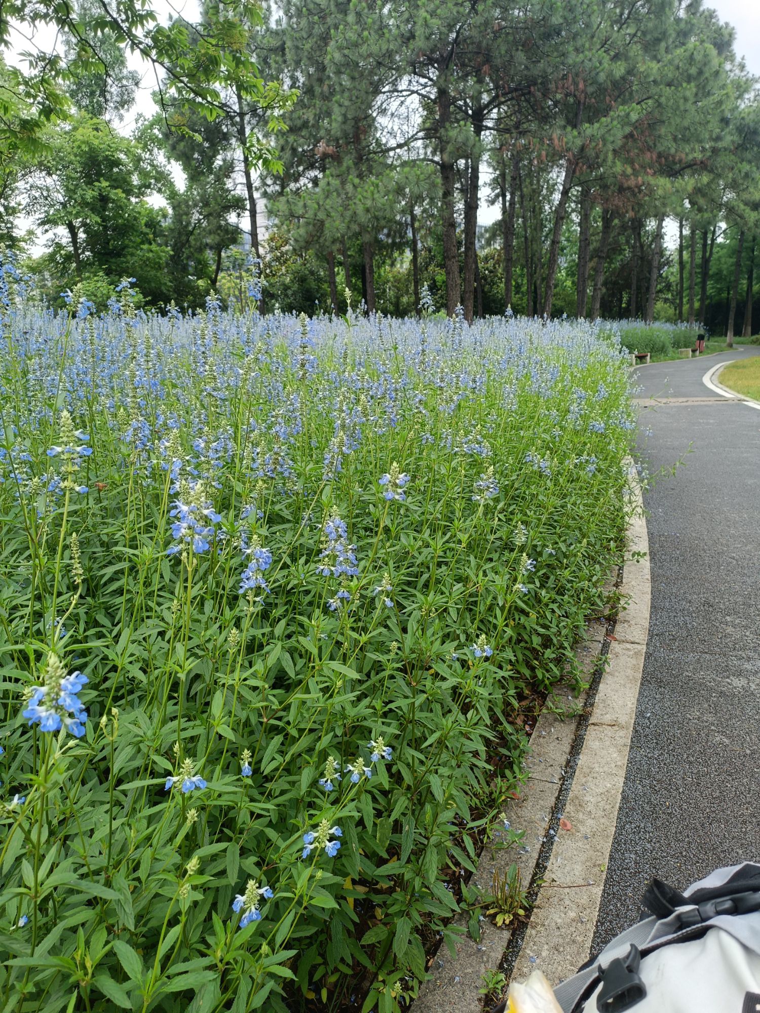 衢州市健康主题公园旅行图片 3