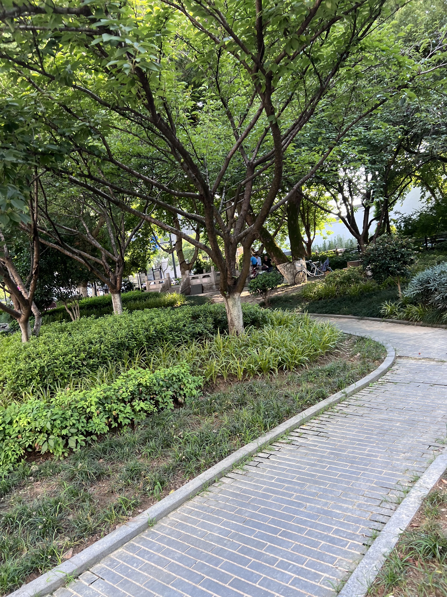 县学公园旅行图片 1