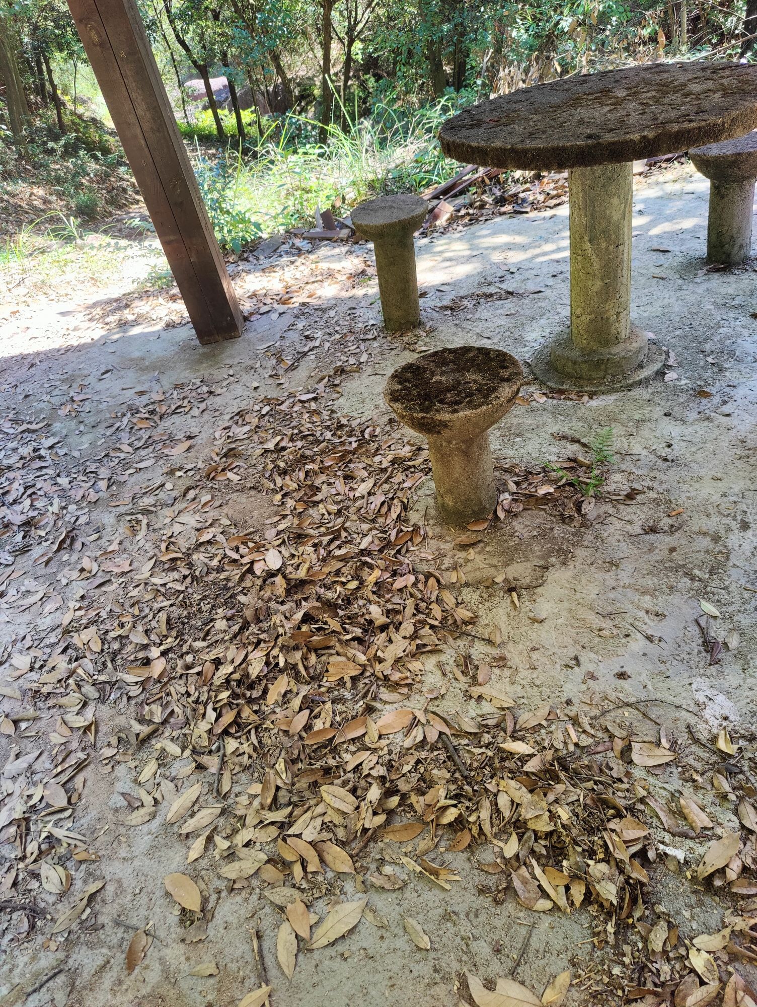 九坛沟景区旅行图片 3