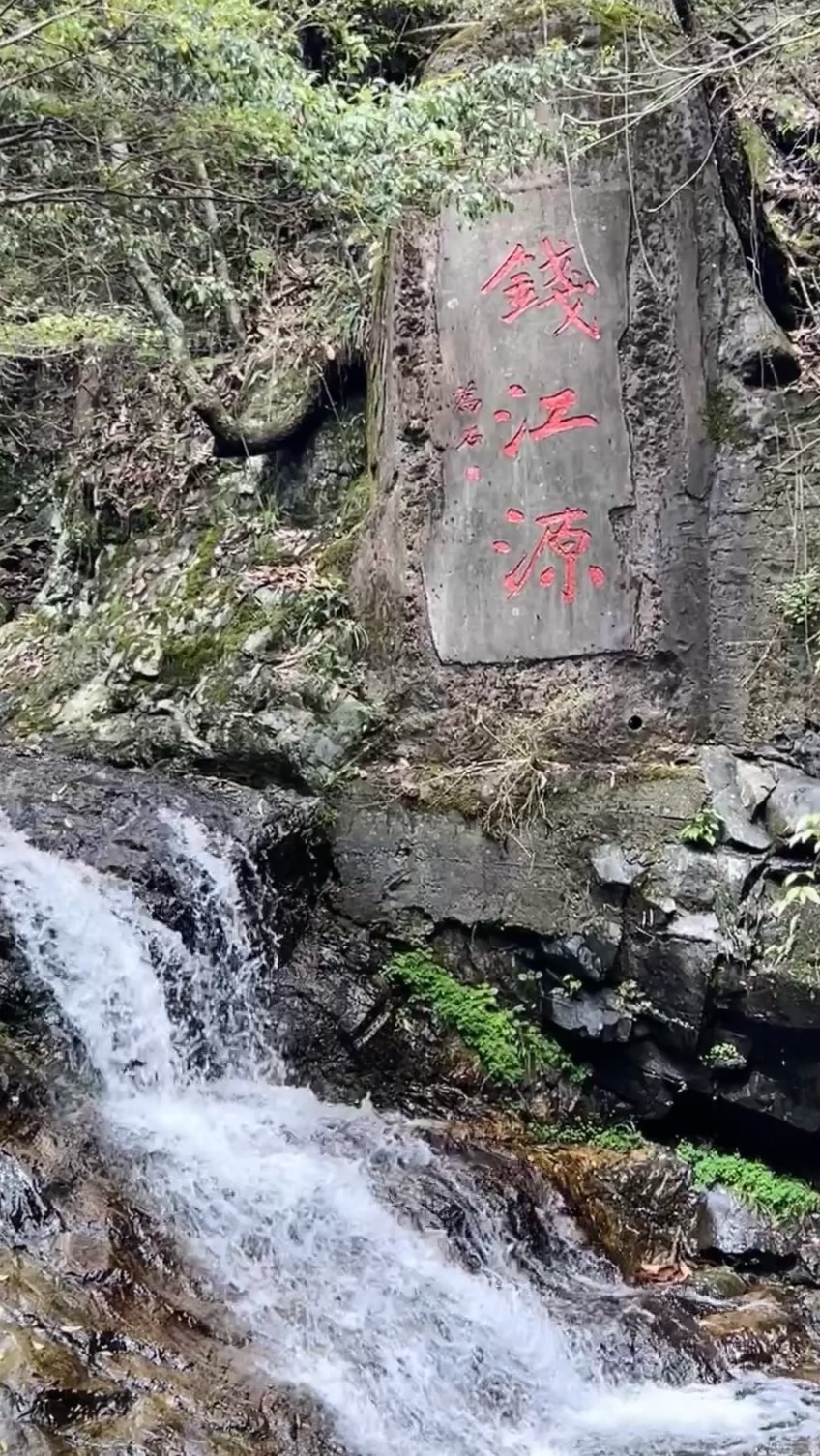 钱江源国家森林公园旅行图片 1