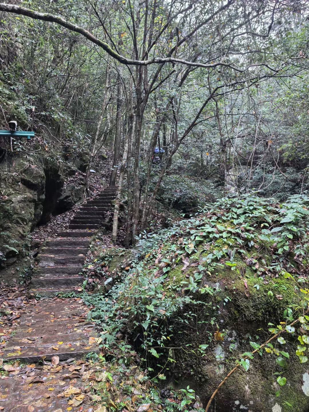 钱江源国家森林公园旅行图片 1