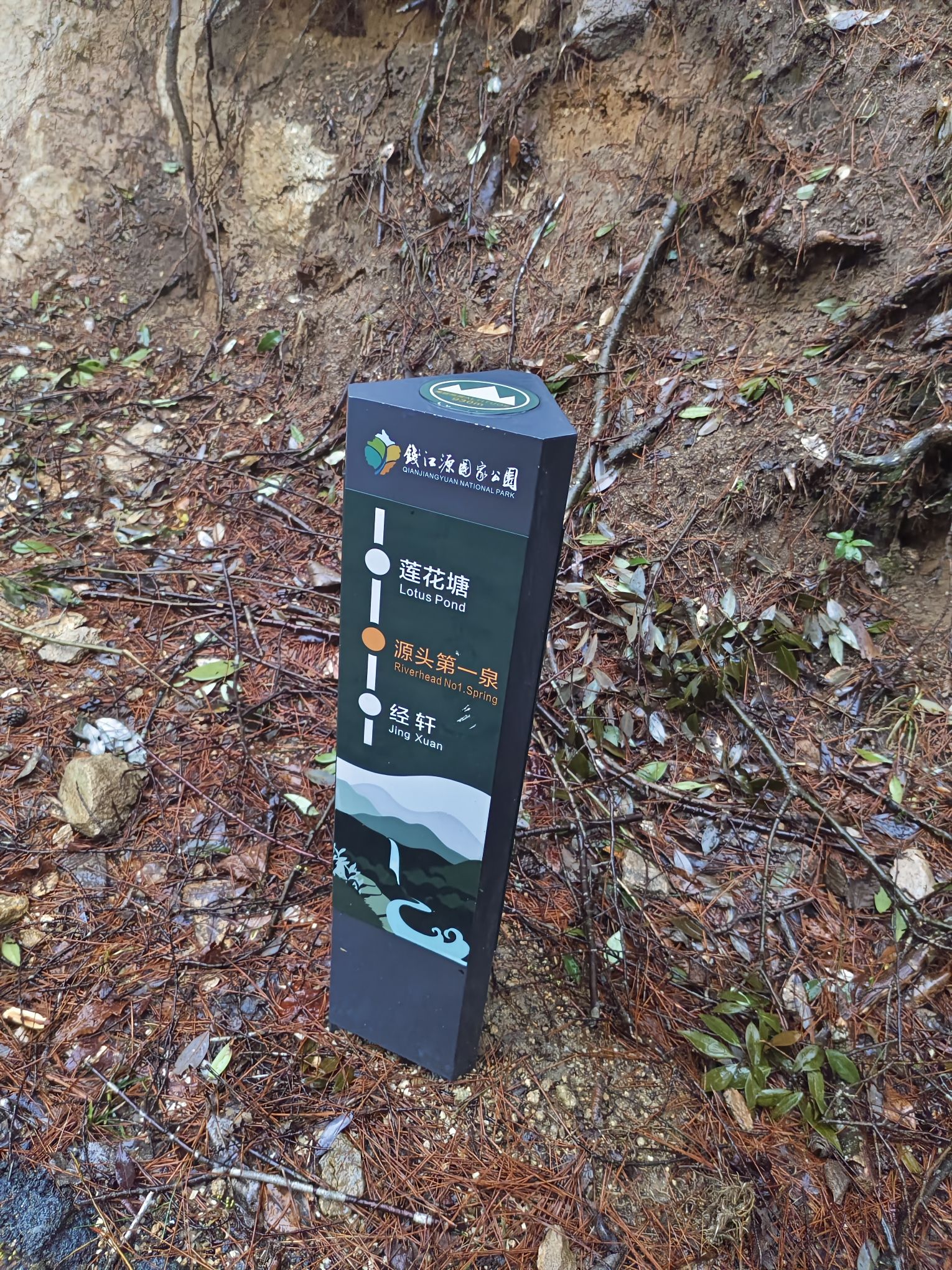 钱江源国家森林公园旅行图片 1