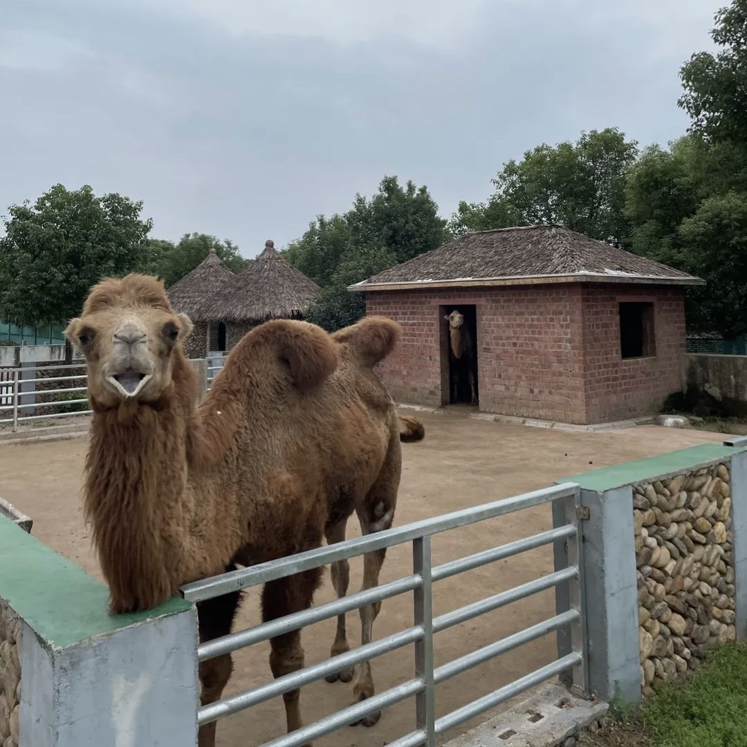 姑蔑城生态园旅行图片 1