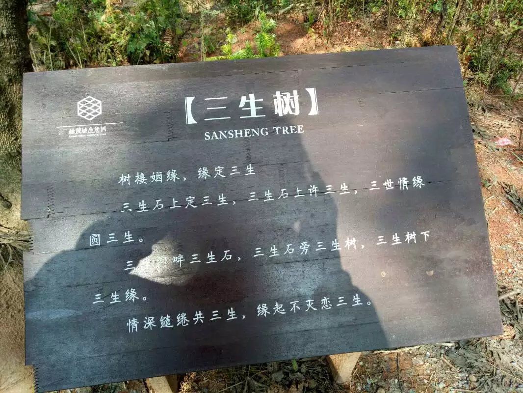 姑蔑城生态园旅行图片 2