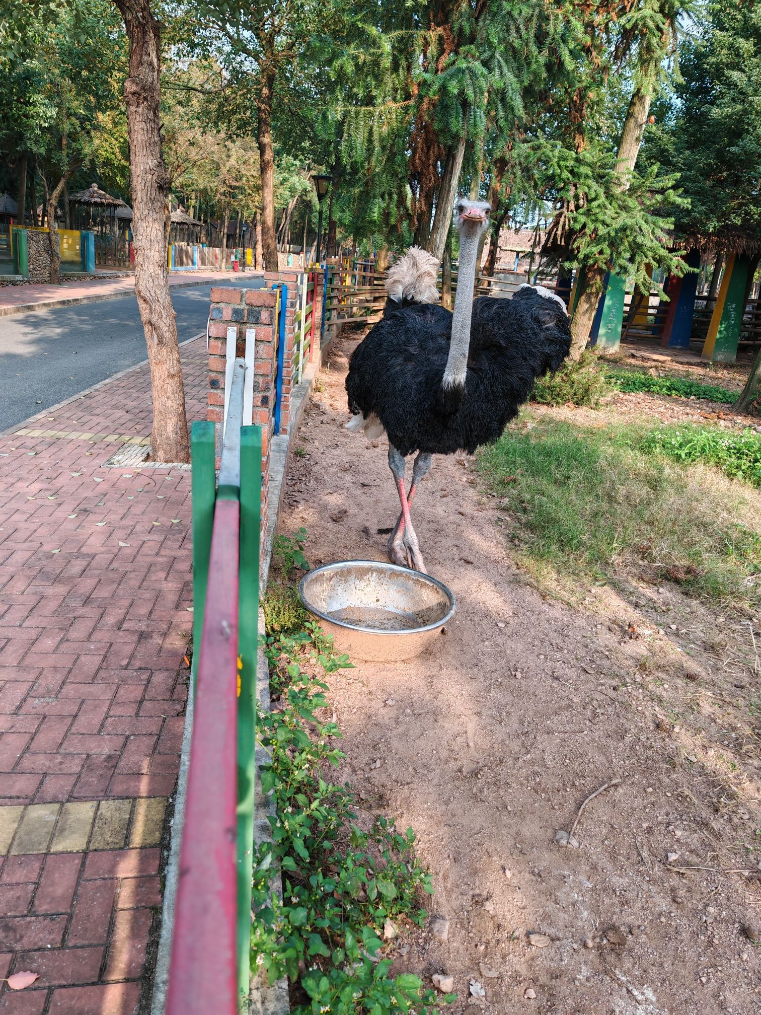 姑蔑城生态园旅行图片 2